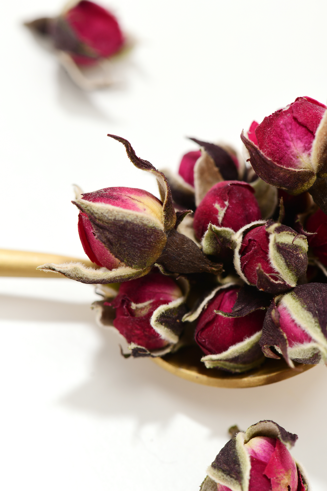 玫瑰花可以泡在温水里可以缓解枯萎吗