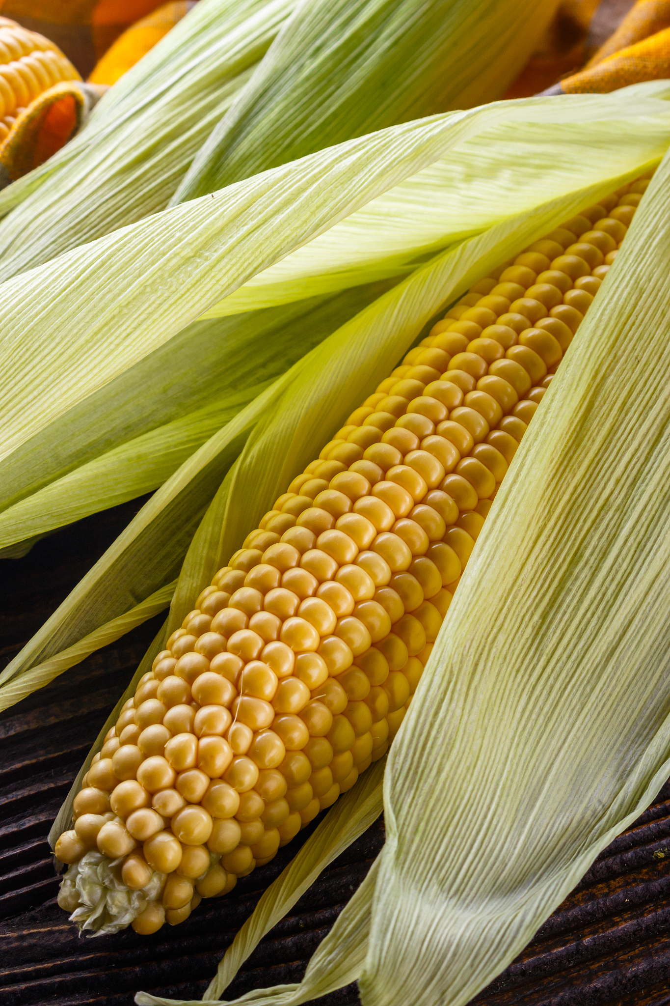 曲靖市农业职业学校2019年五年制大专招生报名