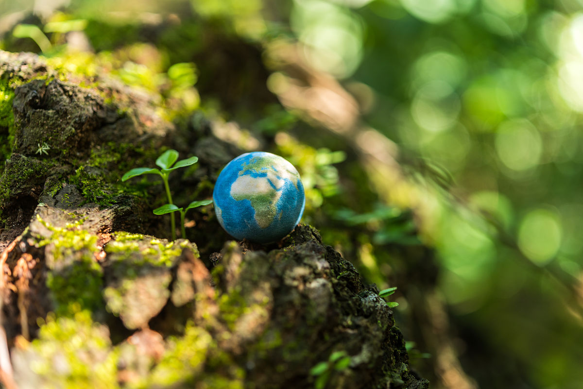 关于呼吸机控制算法的专利要求与现在的专利不冲突