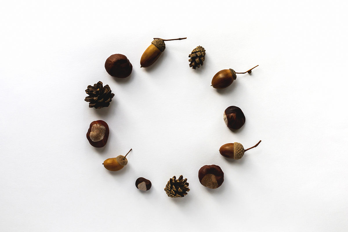 作文修改润色：让你的文章更出色