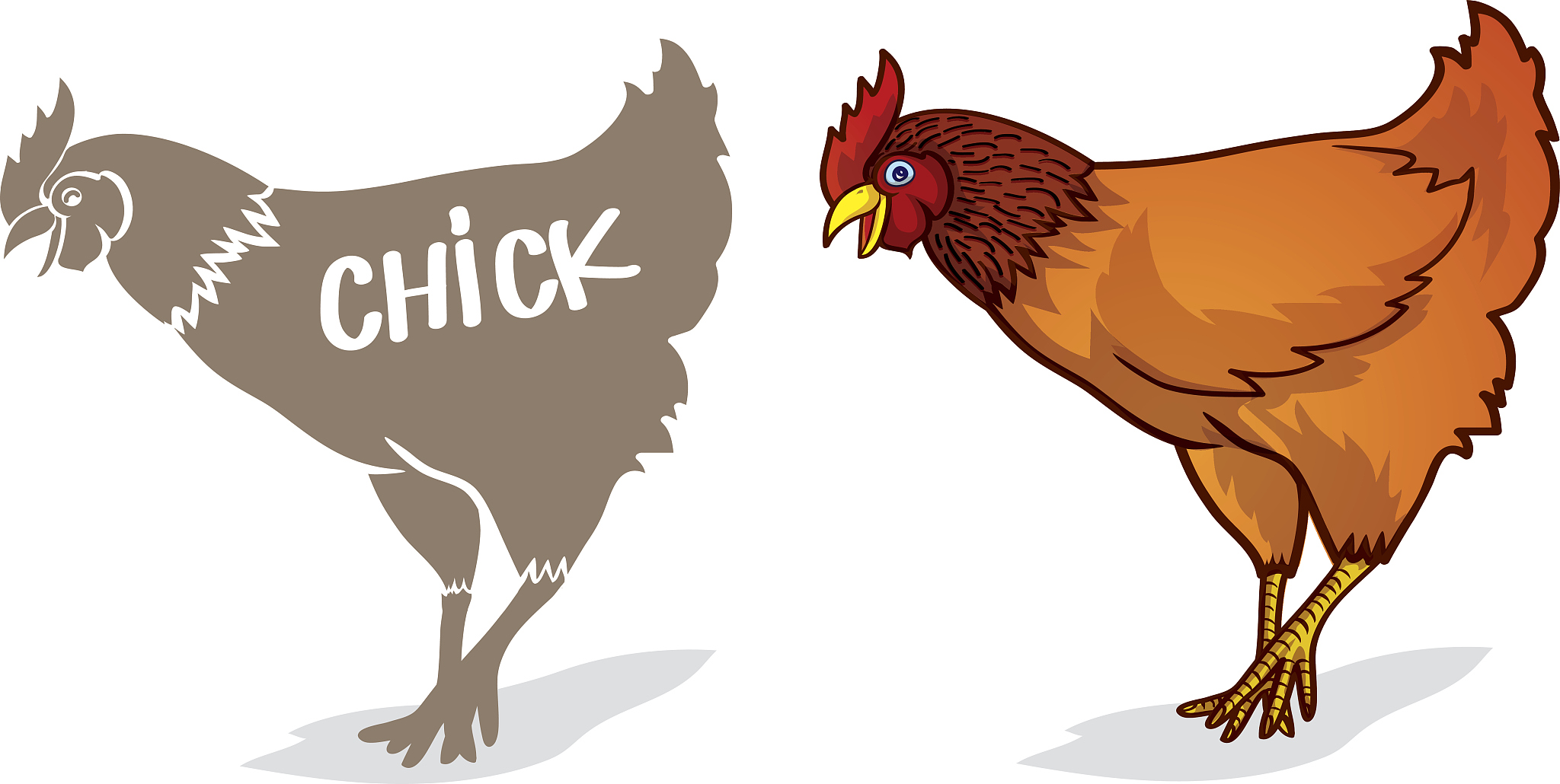 chicken