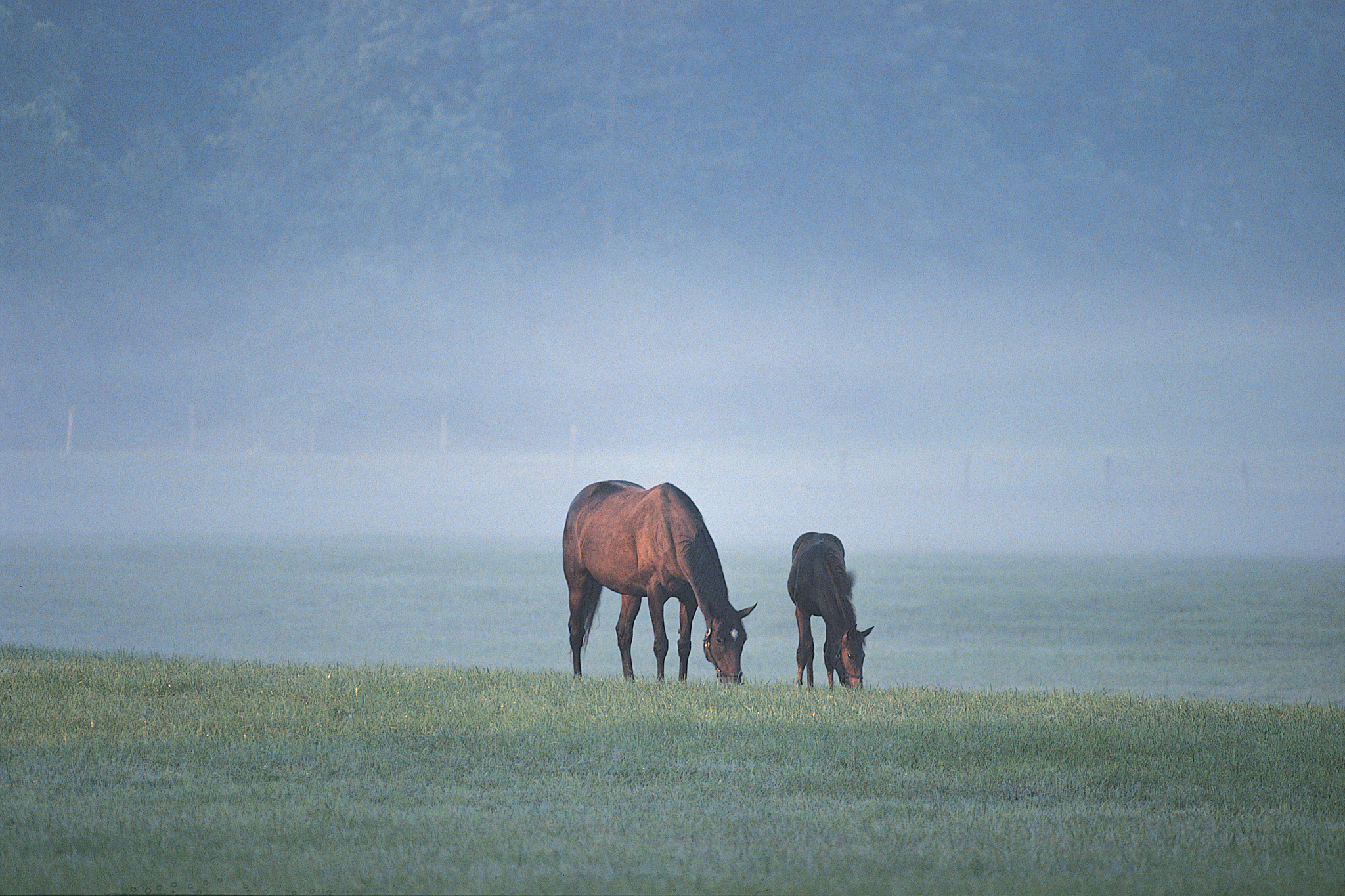 马晗杰的告白：爱而不得的悲伤