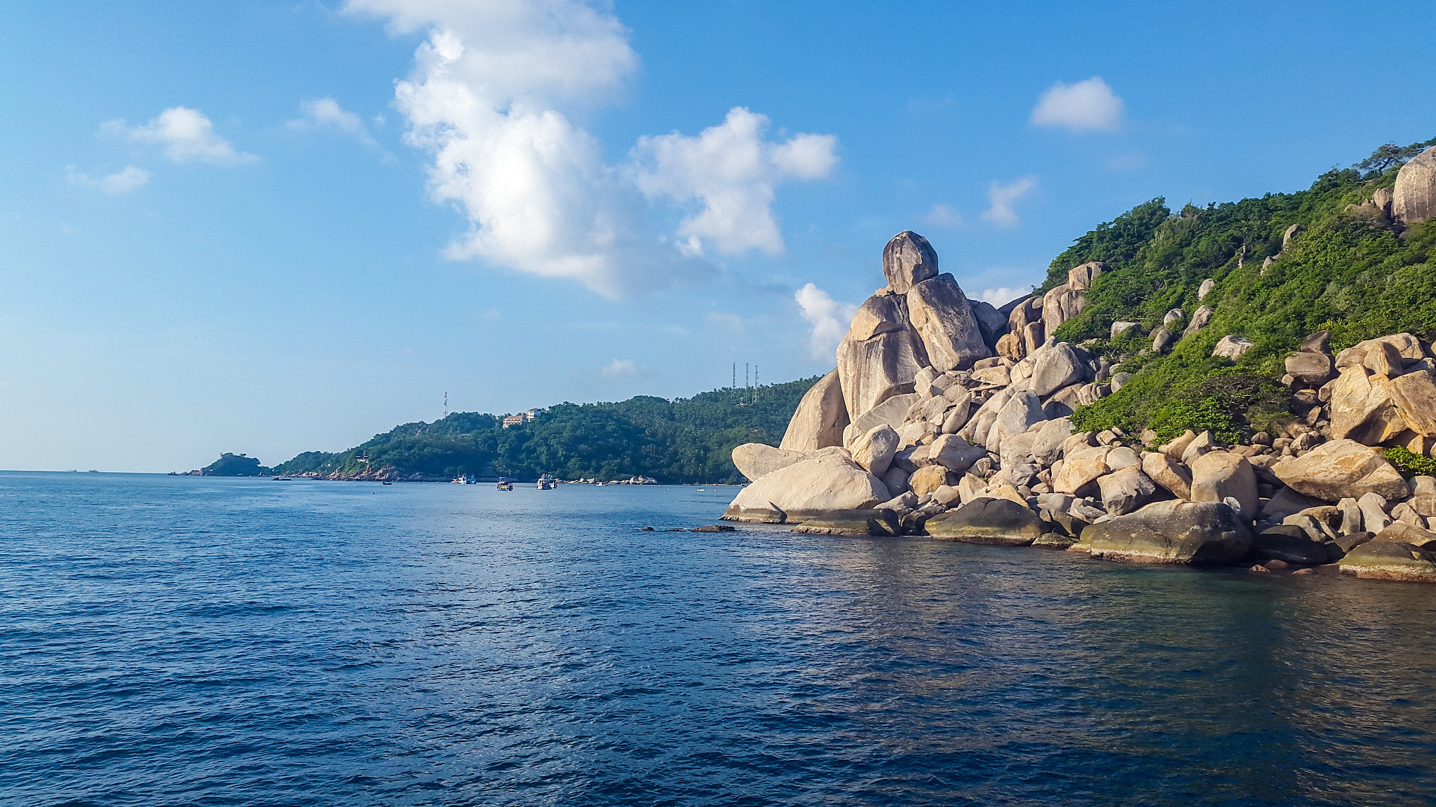 带'Tao'姓的同性恋名字创意 - 取名灵感