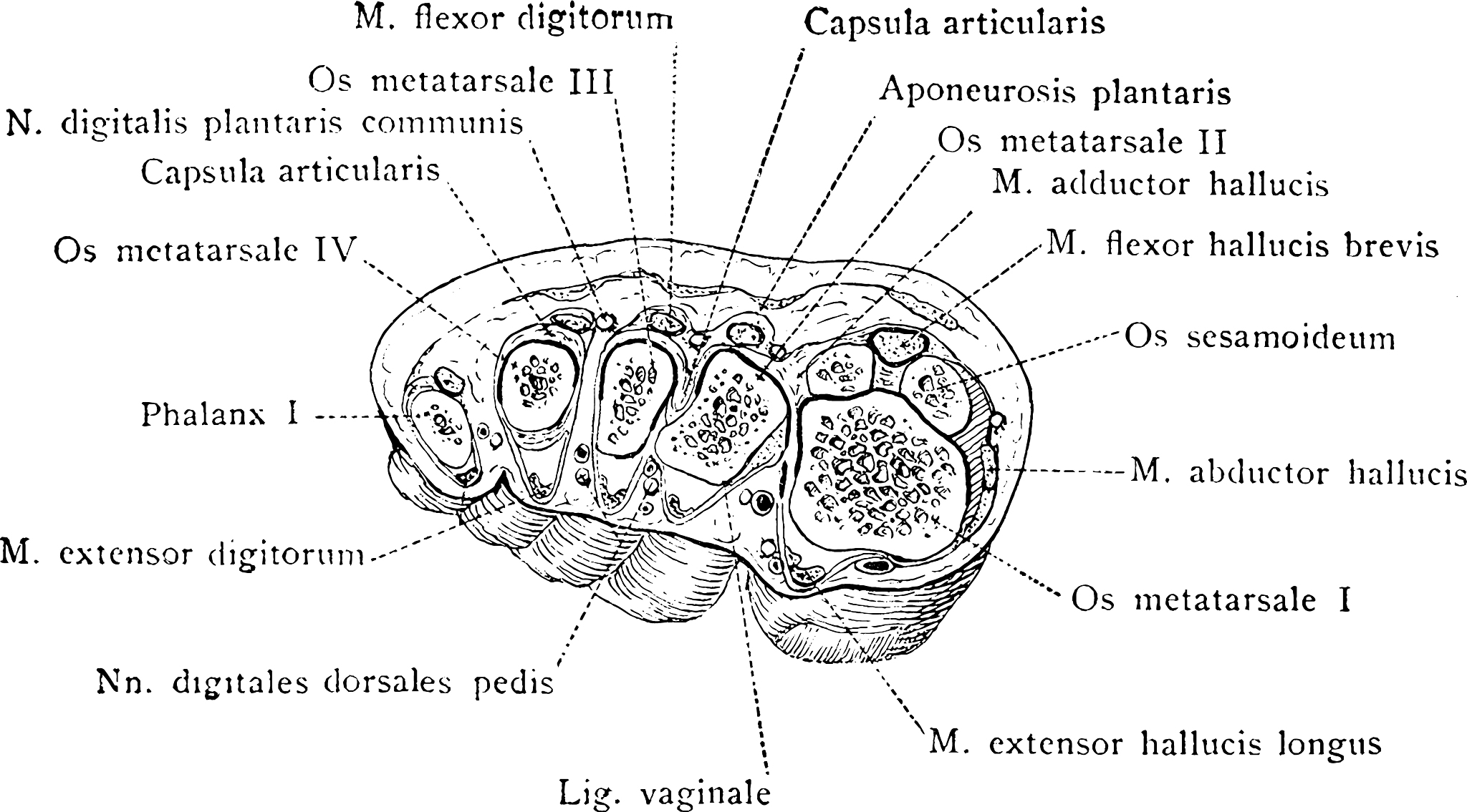 分子间存在相互作用或关系这个短语在专业英文医学杂志中如何表达