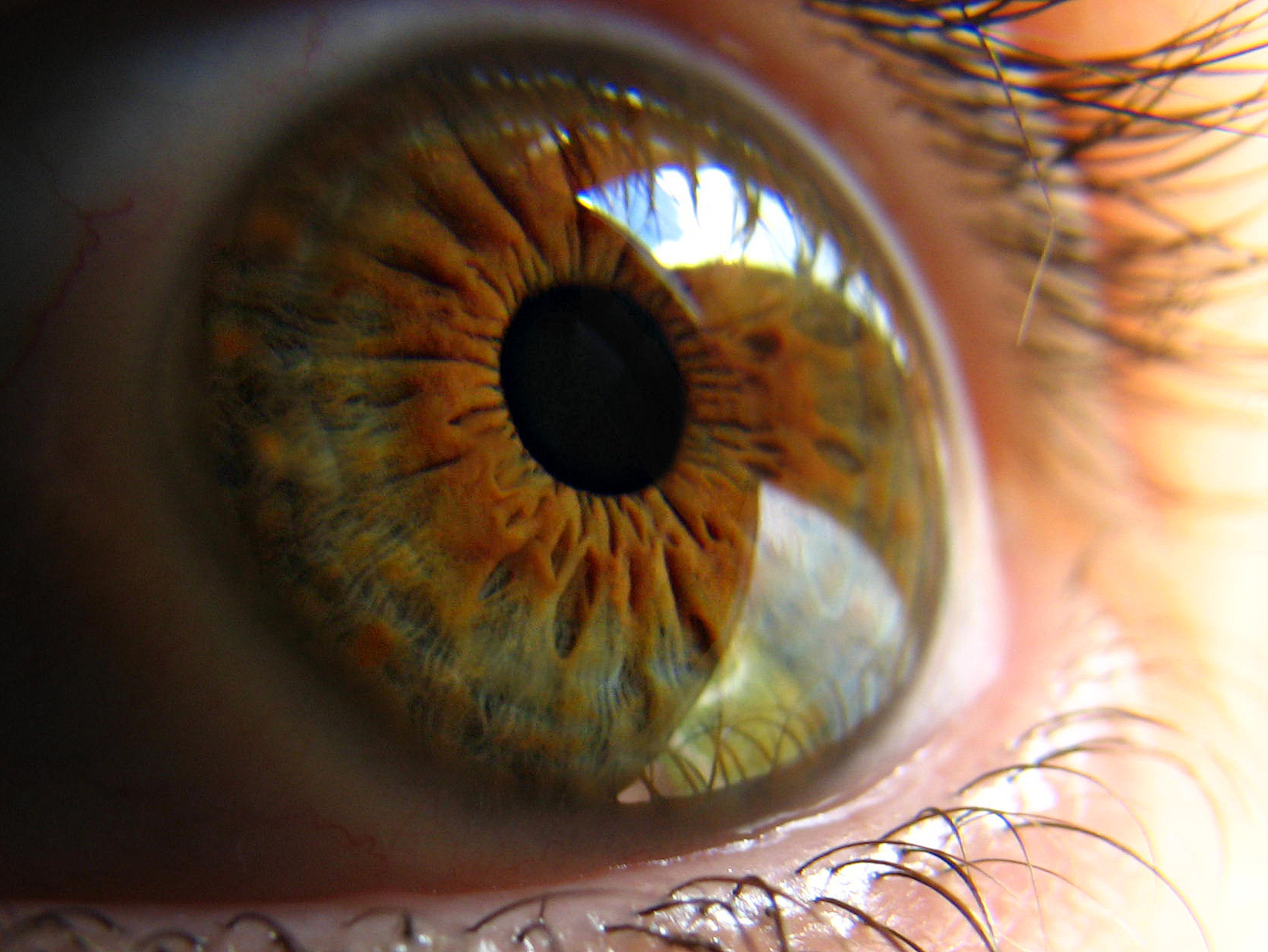 extreme close-up of person eye