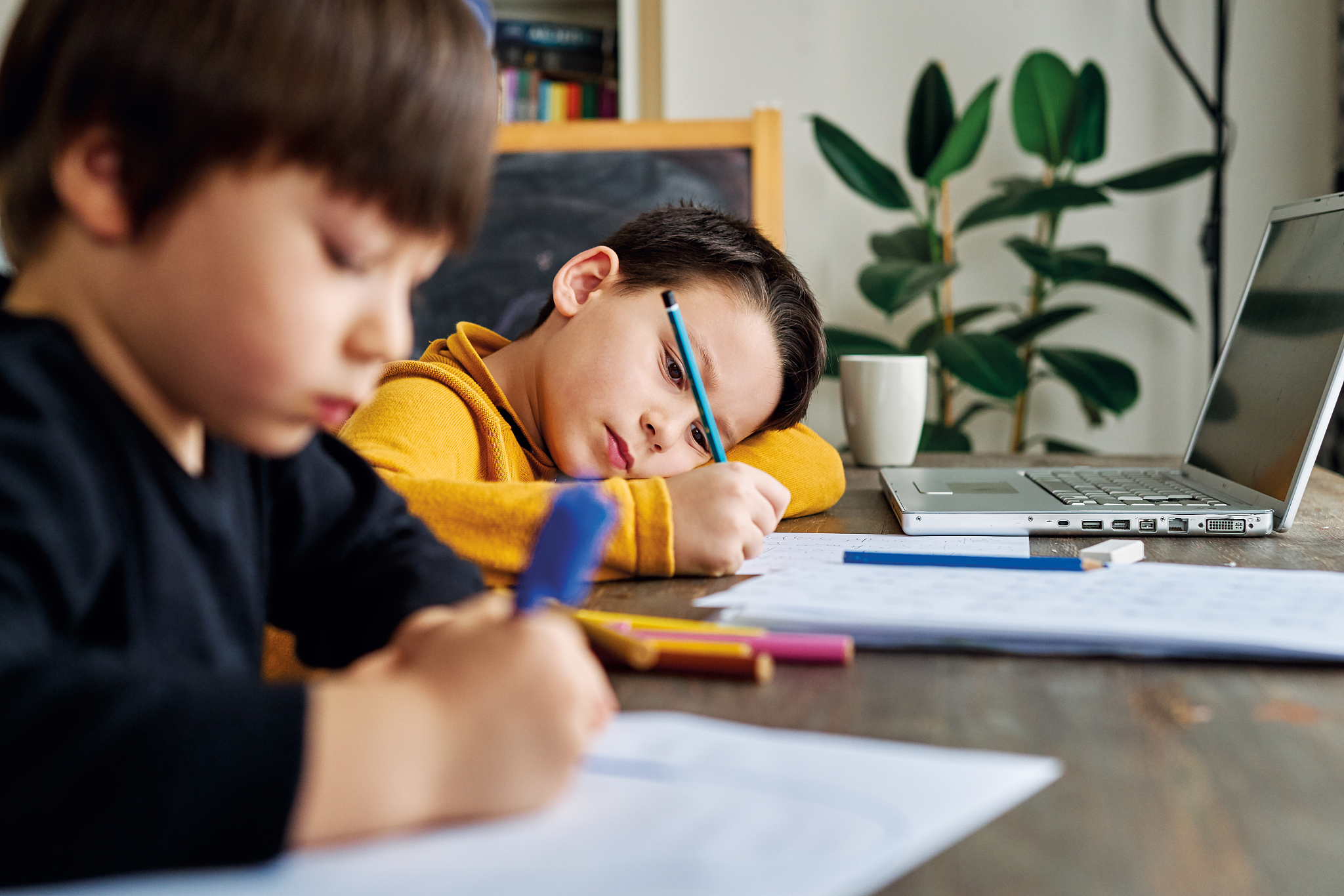 education at home. cute child learning mathematics at home with 