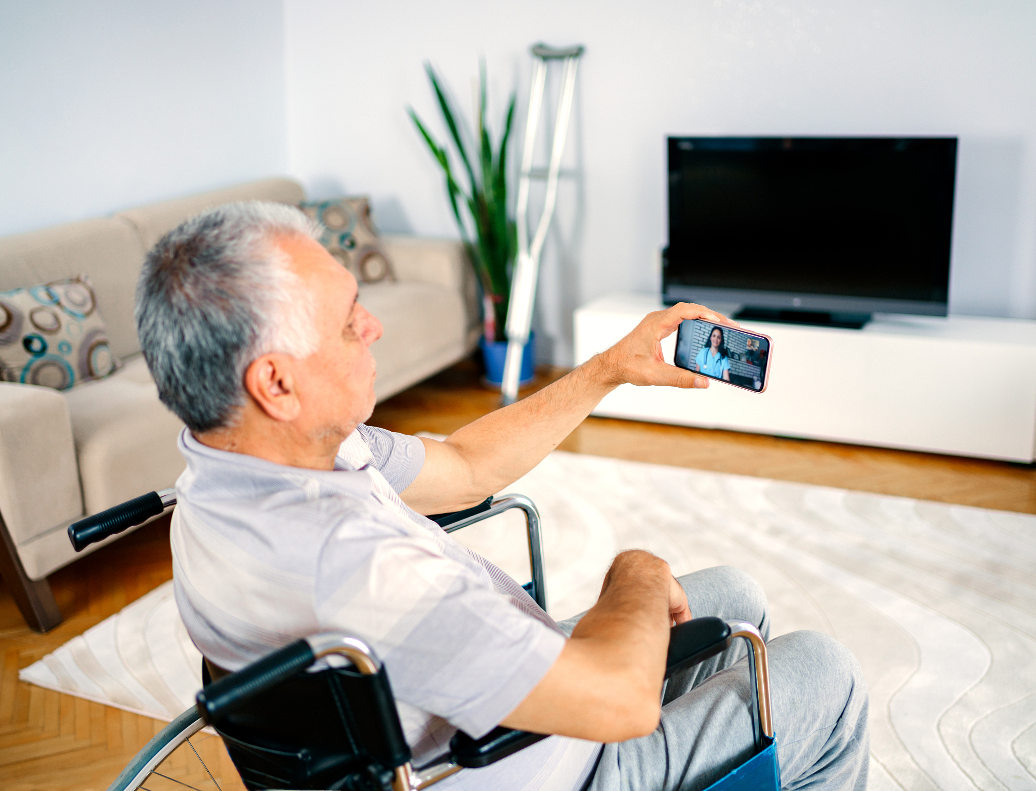 老年助手电子产品开发及生产报告：应对人口老龄化趋势