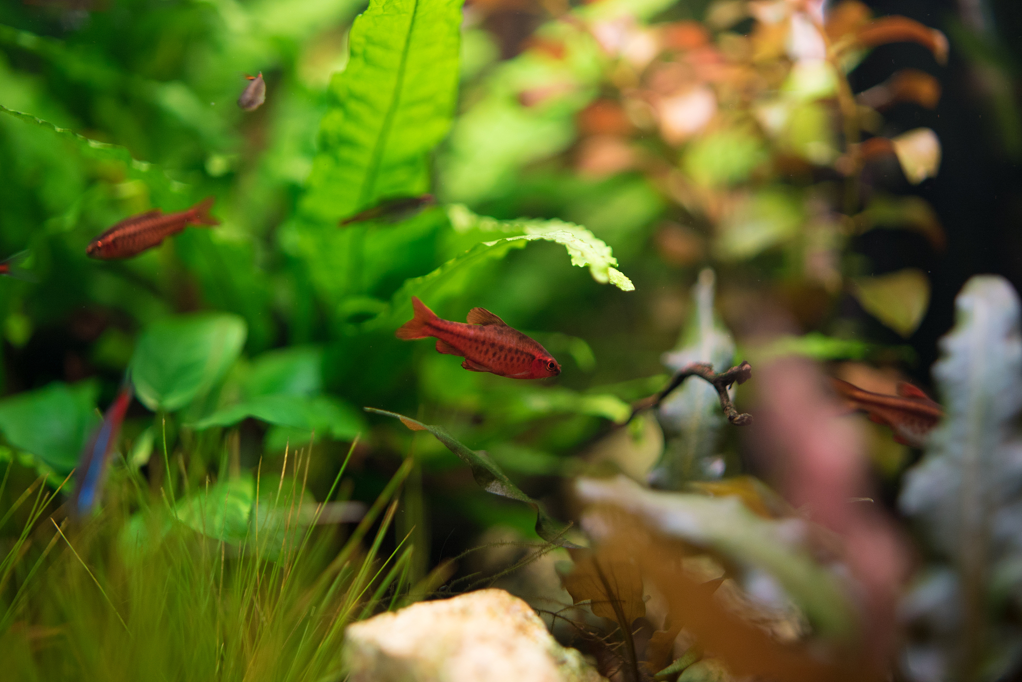 潜江市职业教育中心淡水养殖专业怎么样？专业怎么样？