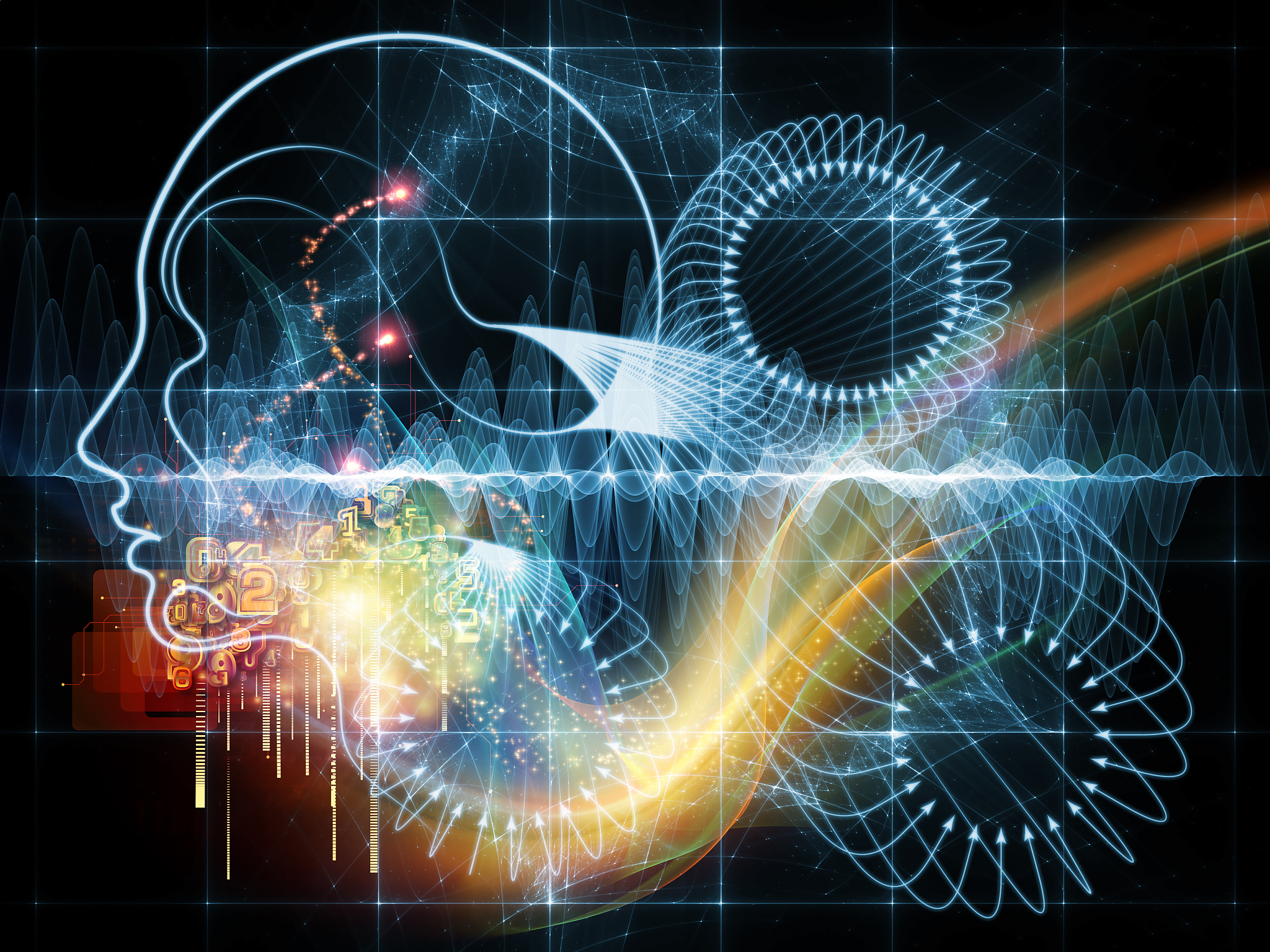 人类：智慧生物的定义与特点