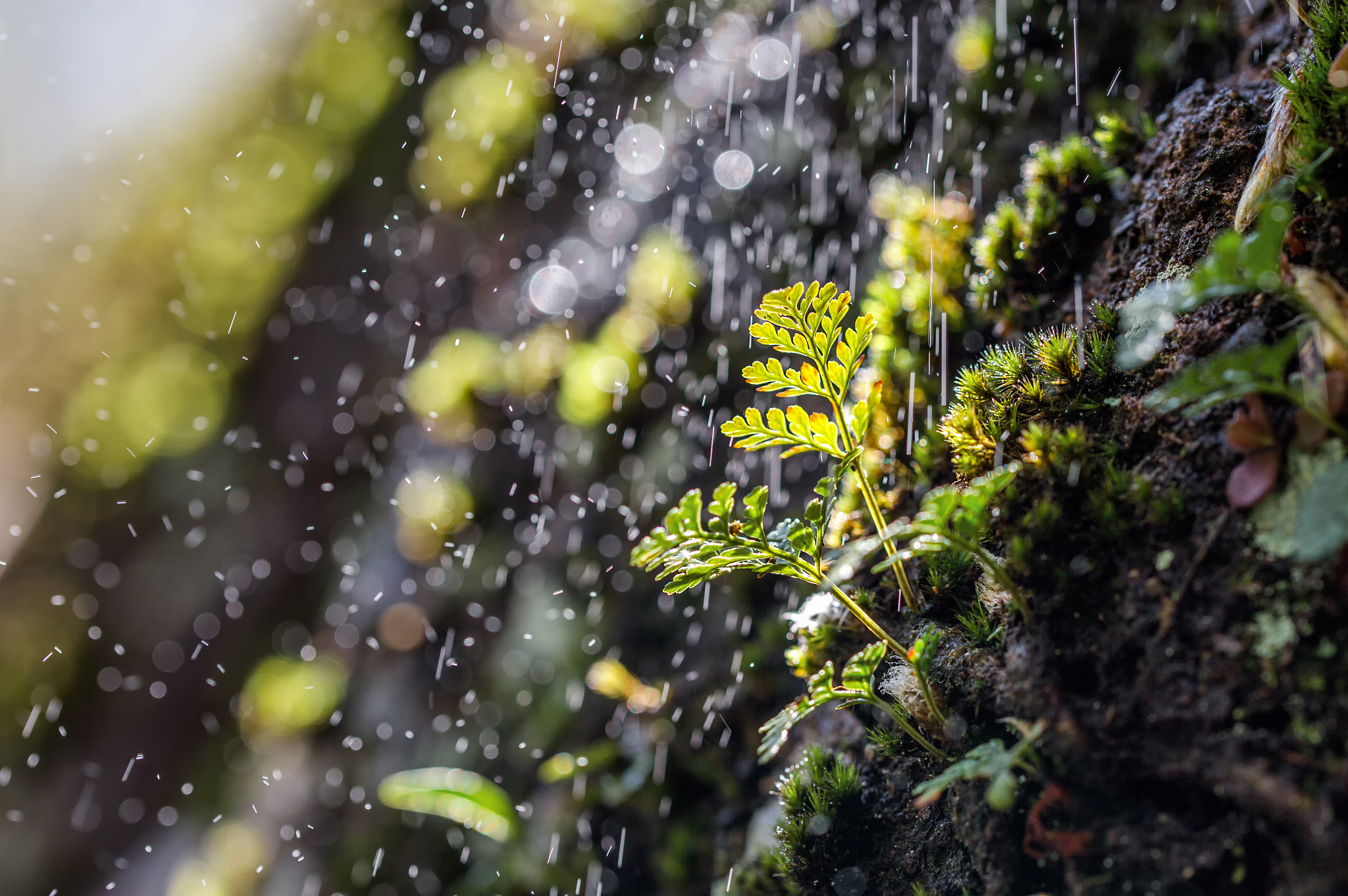 听下雨声睡眠疗愈