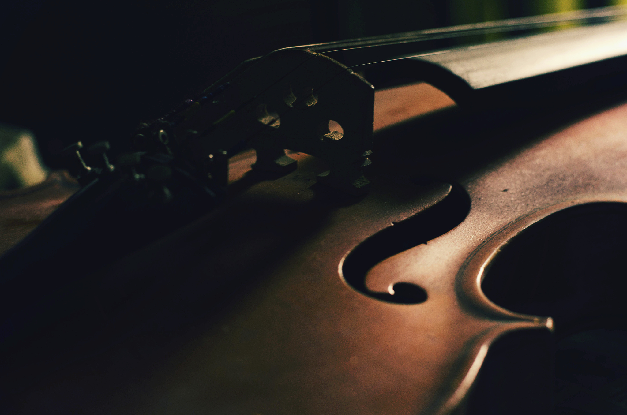 孤单愁红蔷薇简谱 - 免费下载和学习