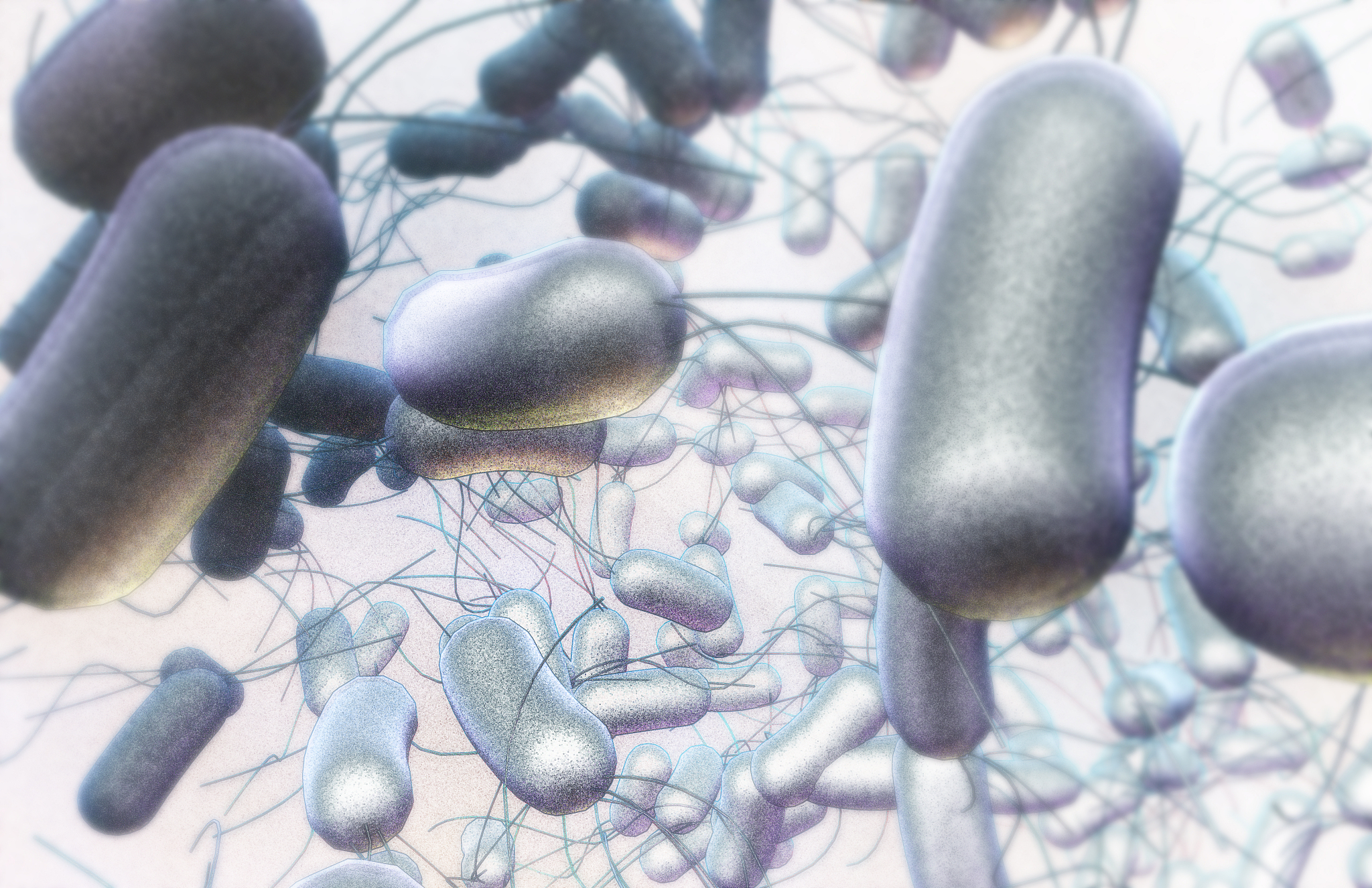 以小明好朋友的视角写一篇2000字记叙文以小明和我病情为线索：小明和我一起吃路边摊都感染病毒在学校拉肚子五天的惨痛经历。详细写学校上课时憋不住请假上厕所一拉就是10几分钟一天泻七八次。中午我也开始拉肚子第二天小明和我一起请假看医生第三天病情好转小明又开始乱吃东西生鸡蛋冰牛奶第四天我已经康复小明并不知道自己已经感染沙门氏菌去学校病情恶化小明一天拉肚子达20多次厕所逐渐成为小明的家。那一个星期拉肚子后