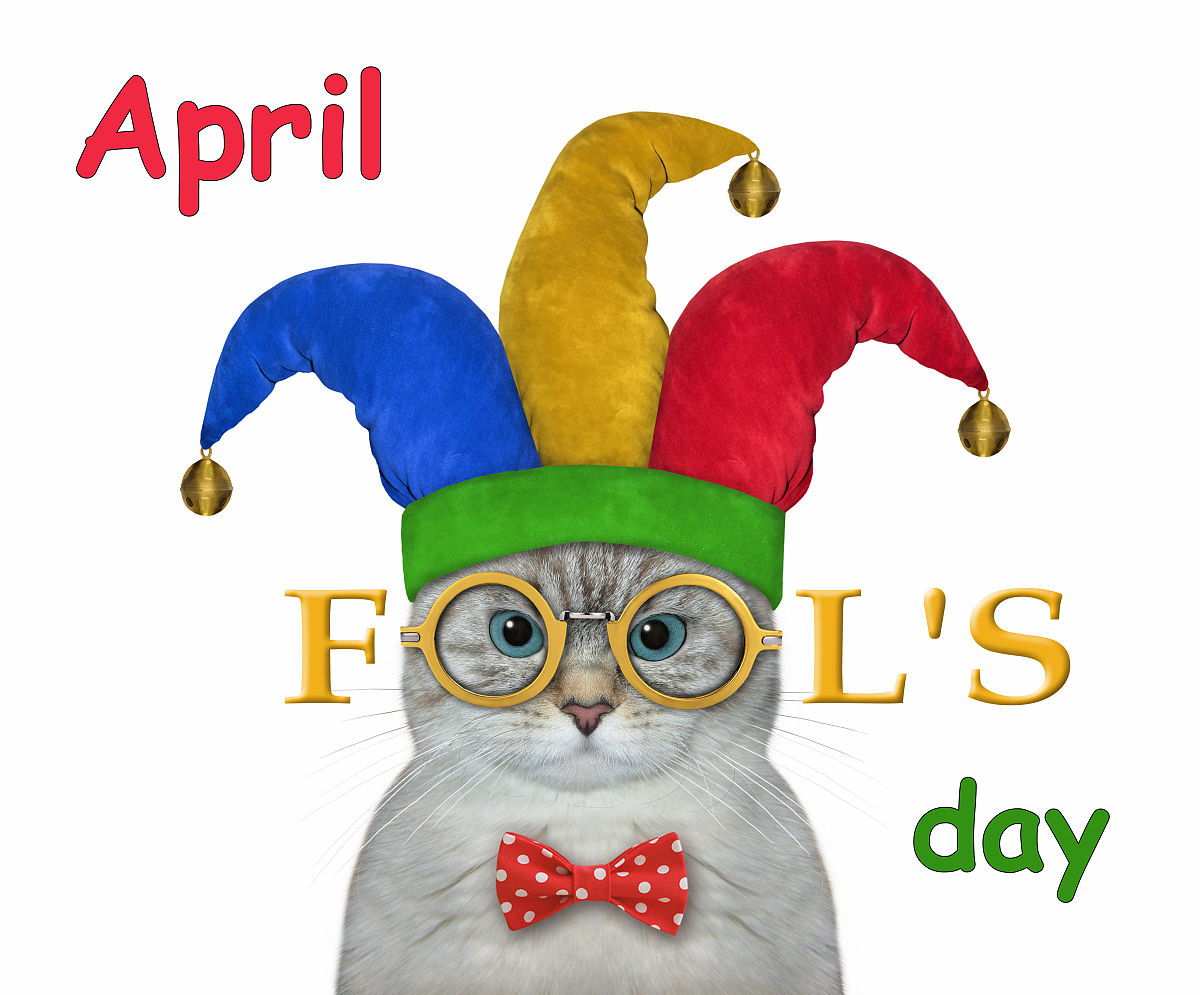 Mr. Om Foester's Hilarious Trip to the Optician