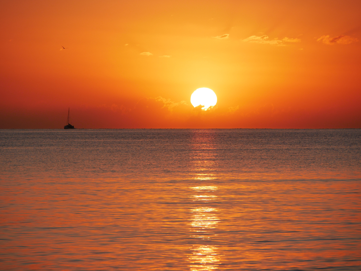 日出景象描写技巧：作者如何抓住细节，描绘动人画面？