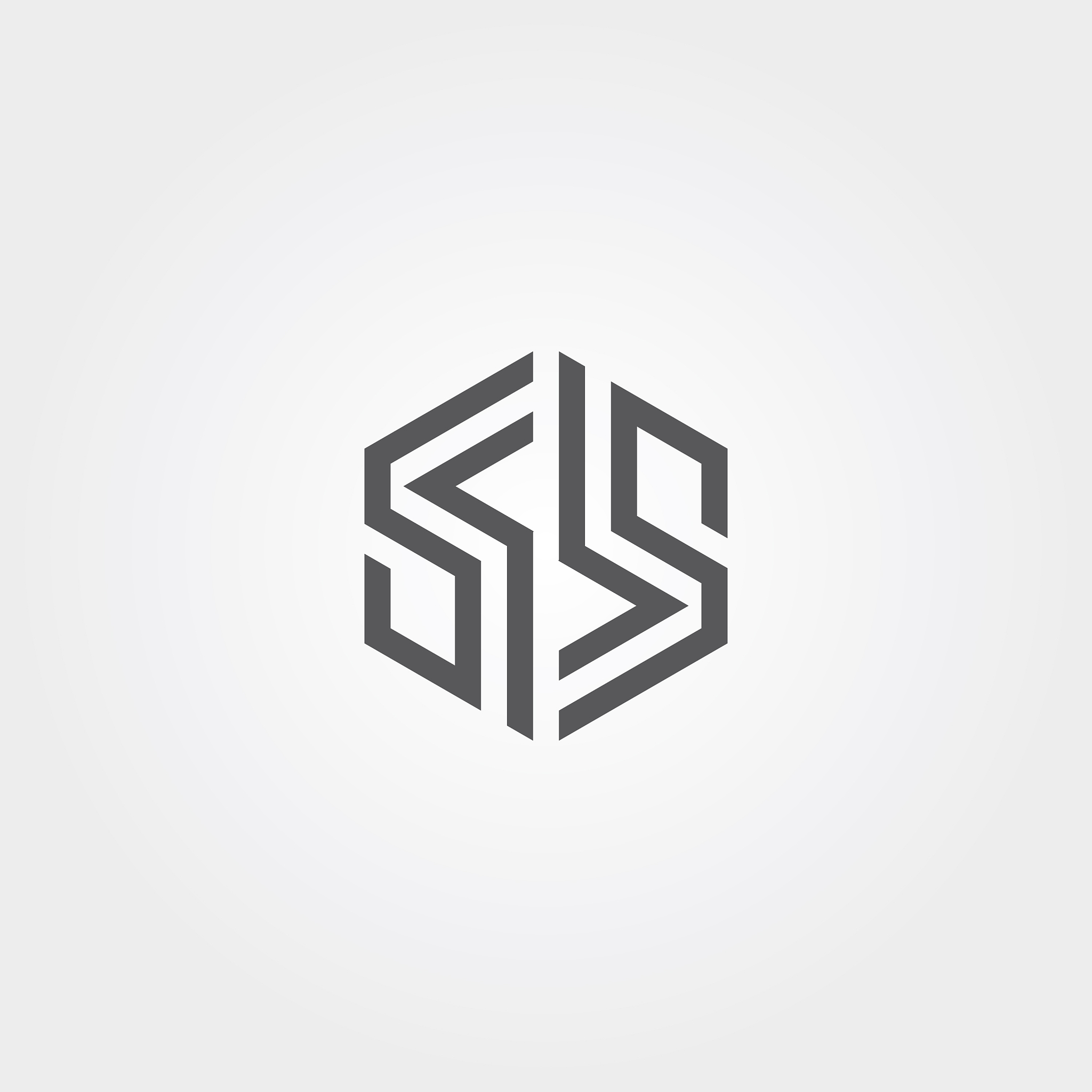 initial s logo template