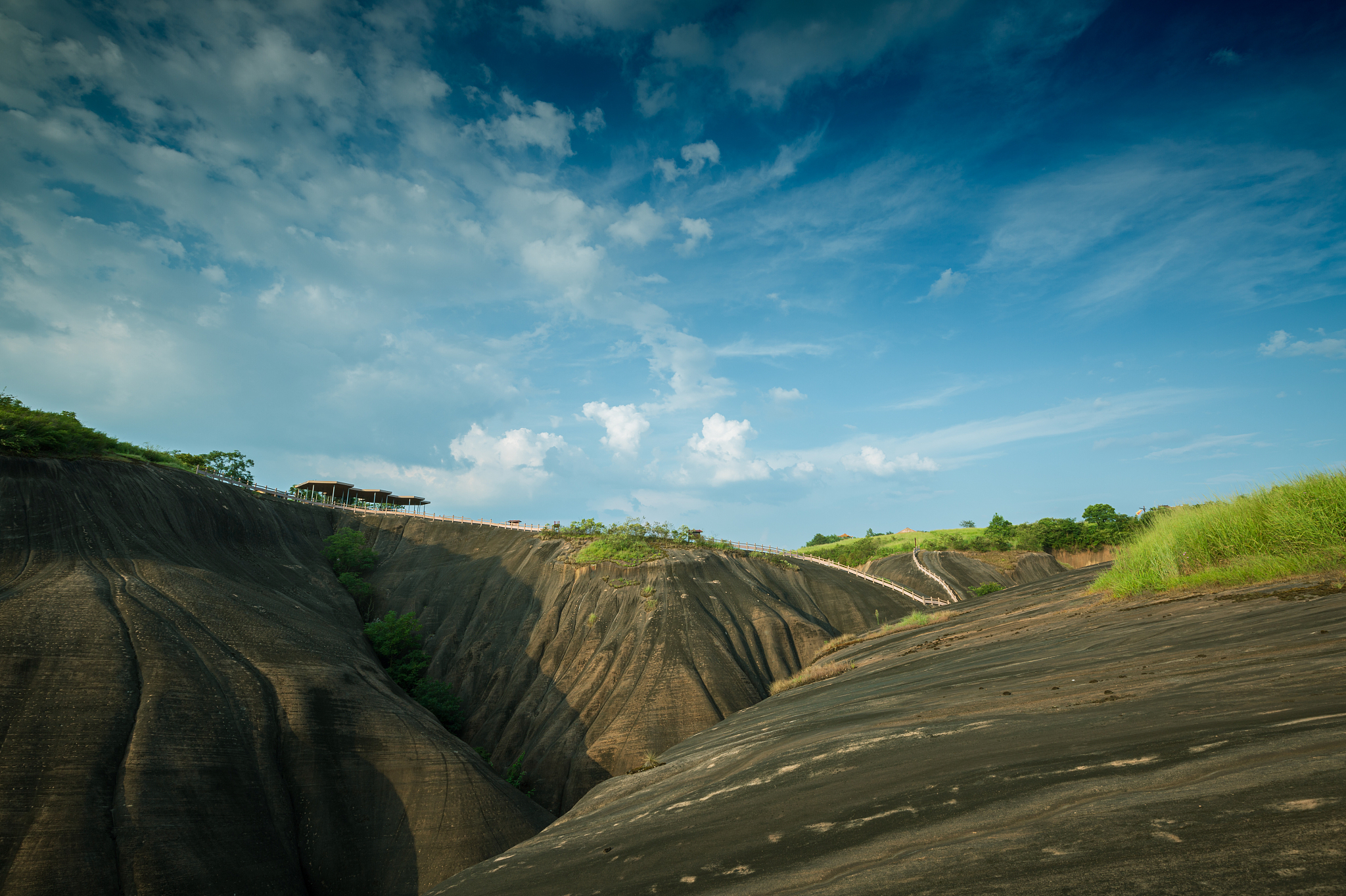 团中央三下乡社会实践微课500字学习笔记