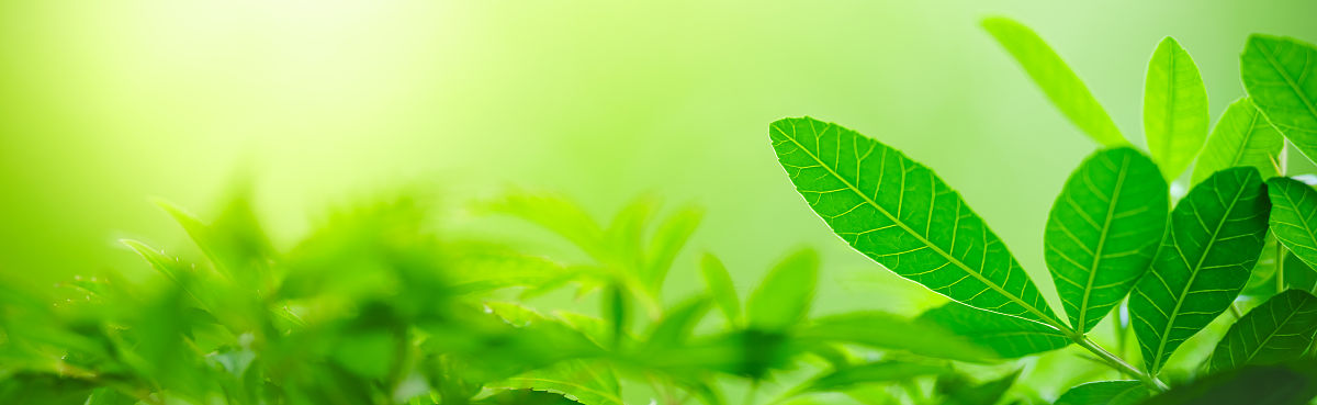 贵阳精工科技学校旅游服务与酒店管理专业好不好