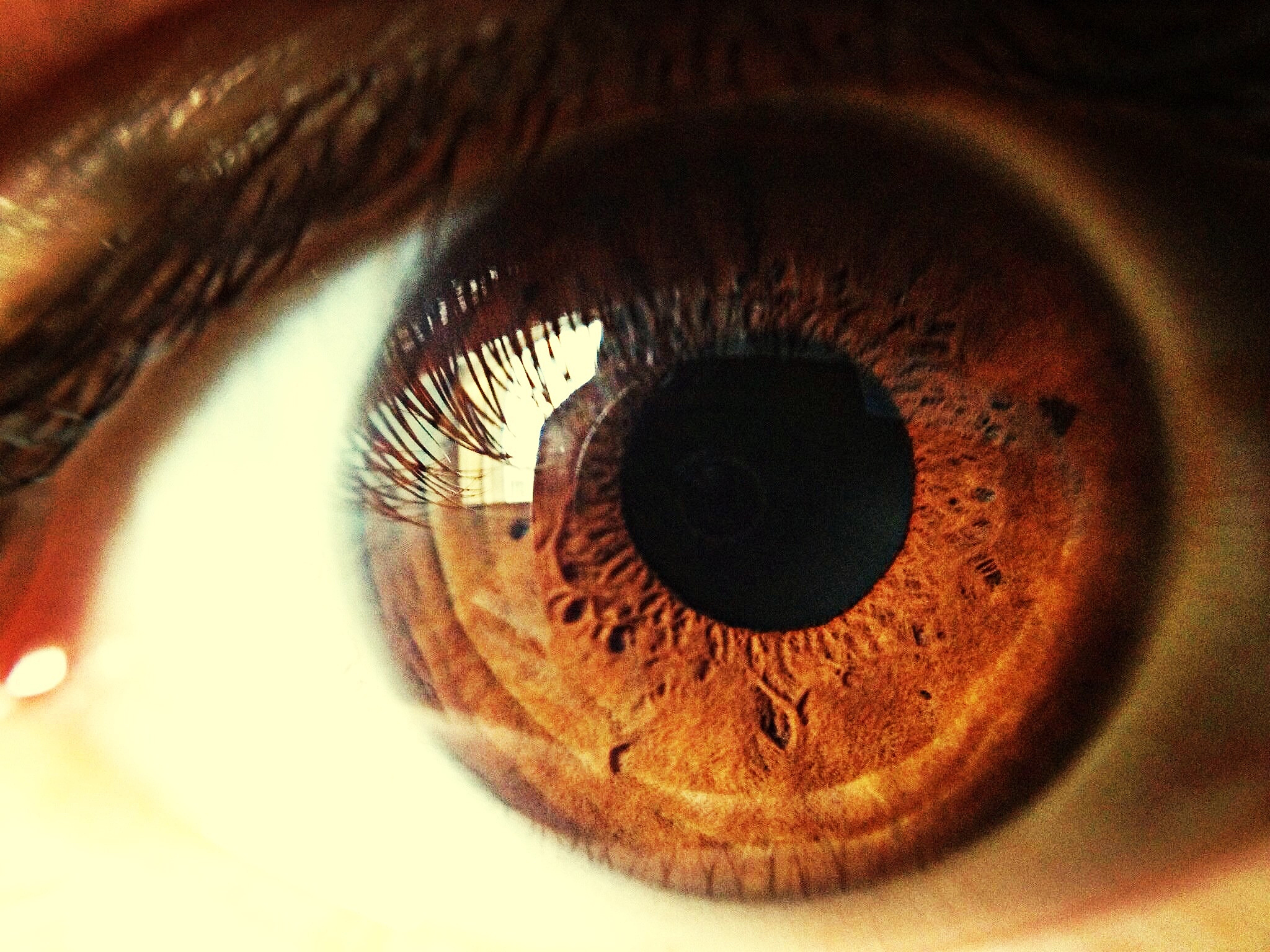 close-up of human eye