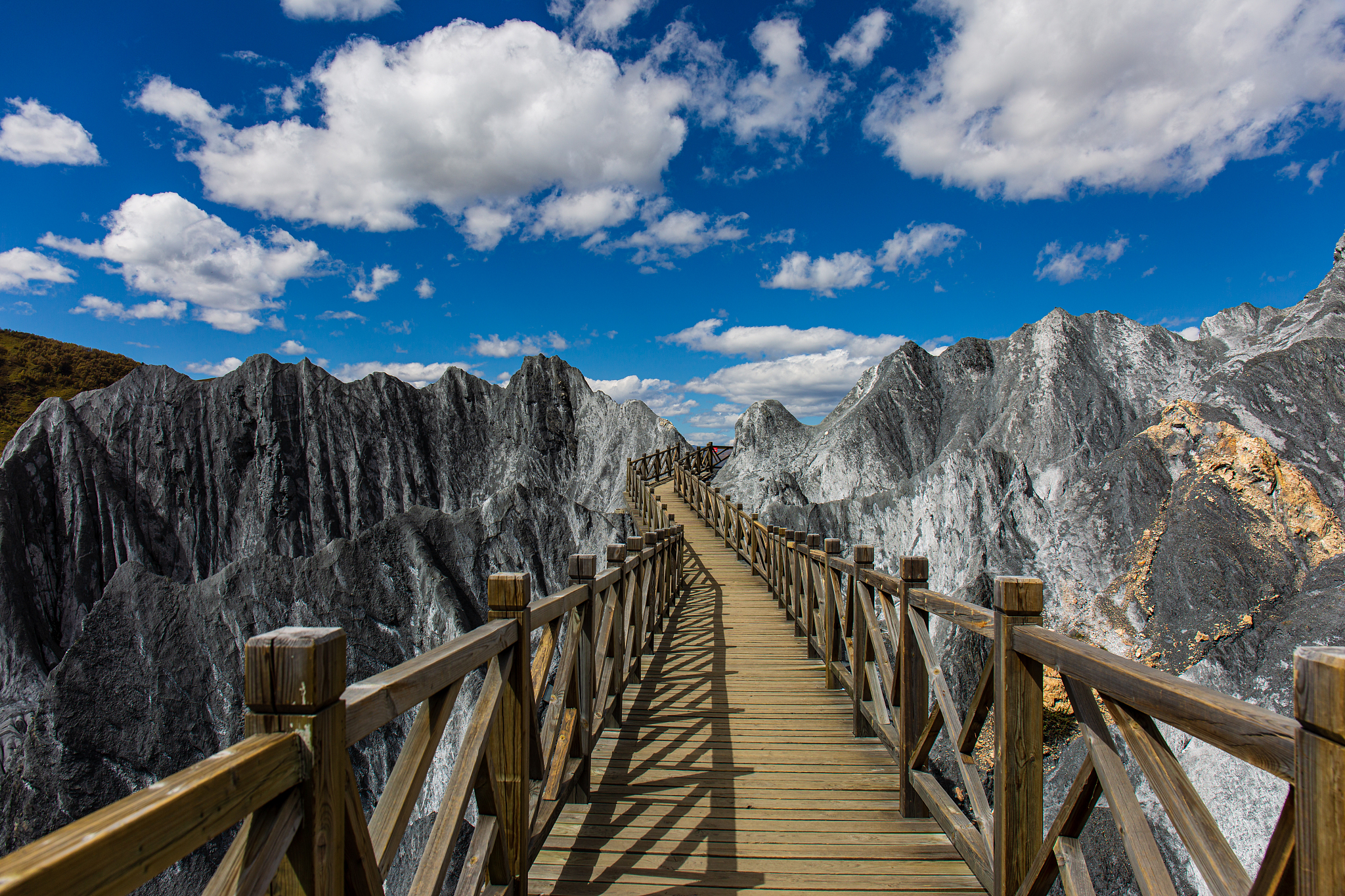 四川高中毕业生上什么中专学校好？专业选择、学校评估、就业前景全解析
