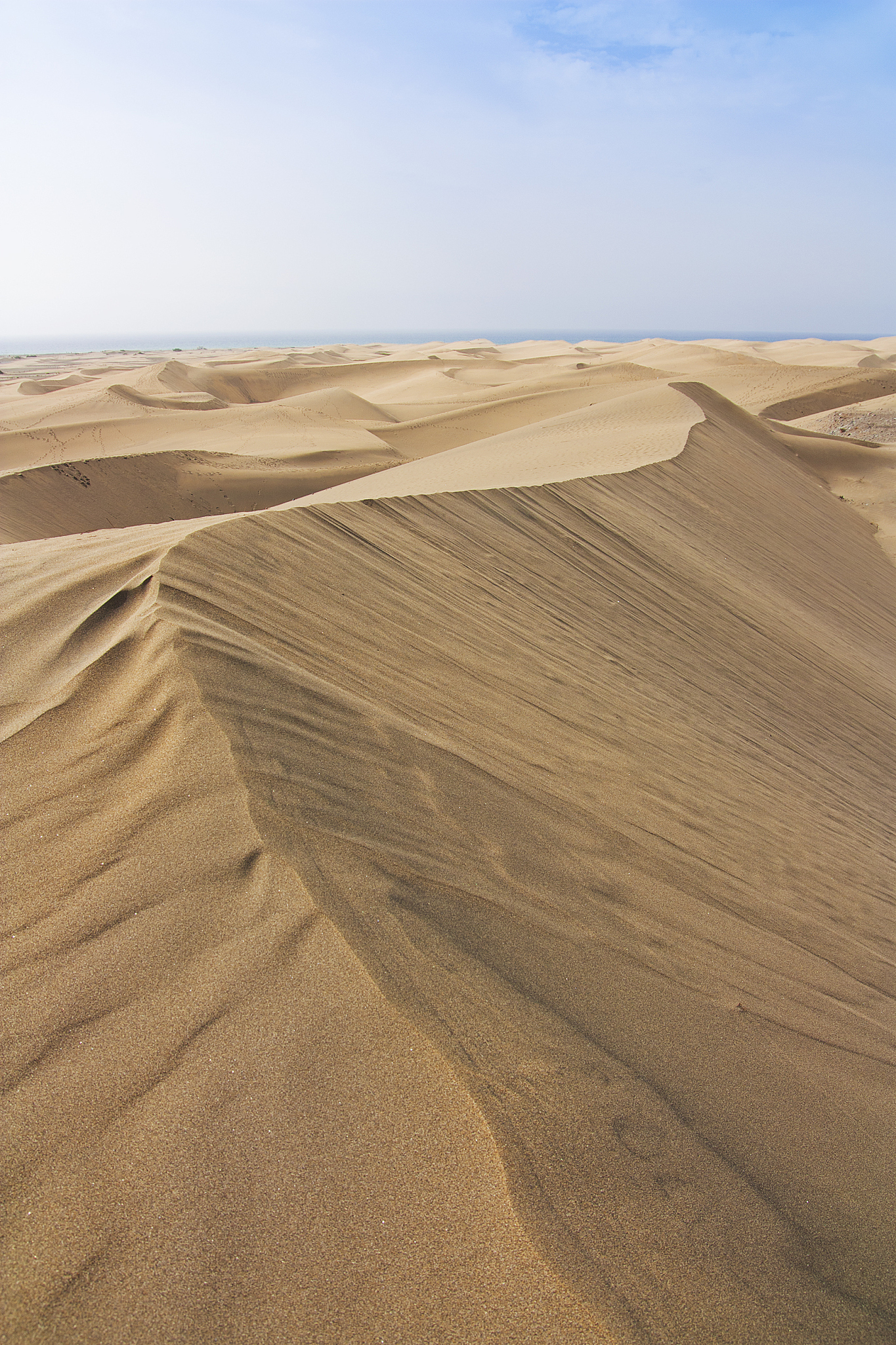 desert and ocean