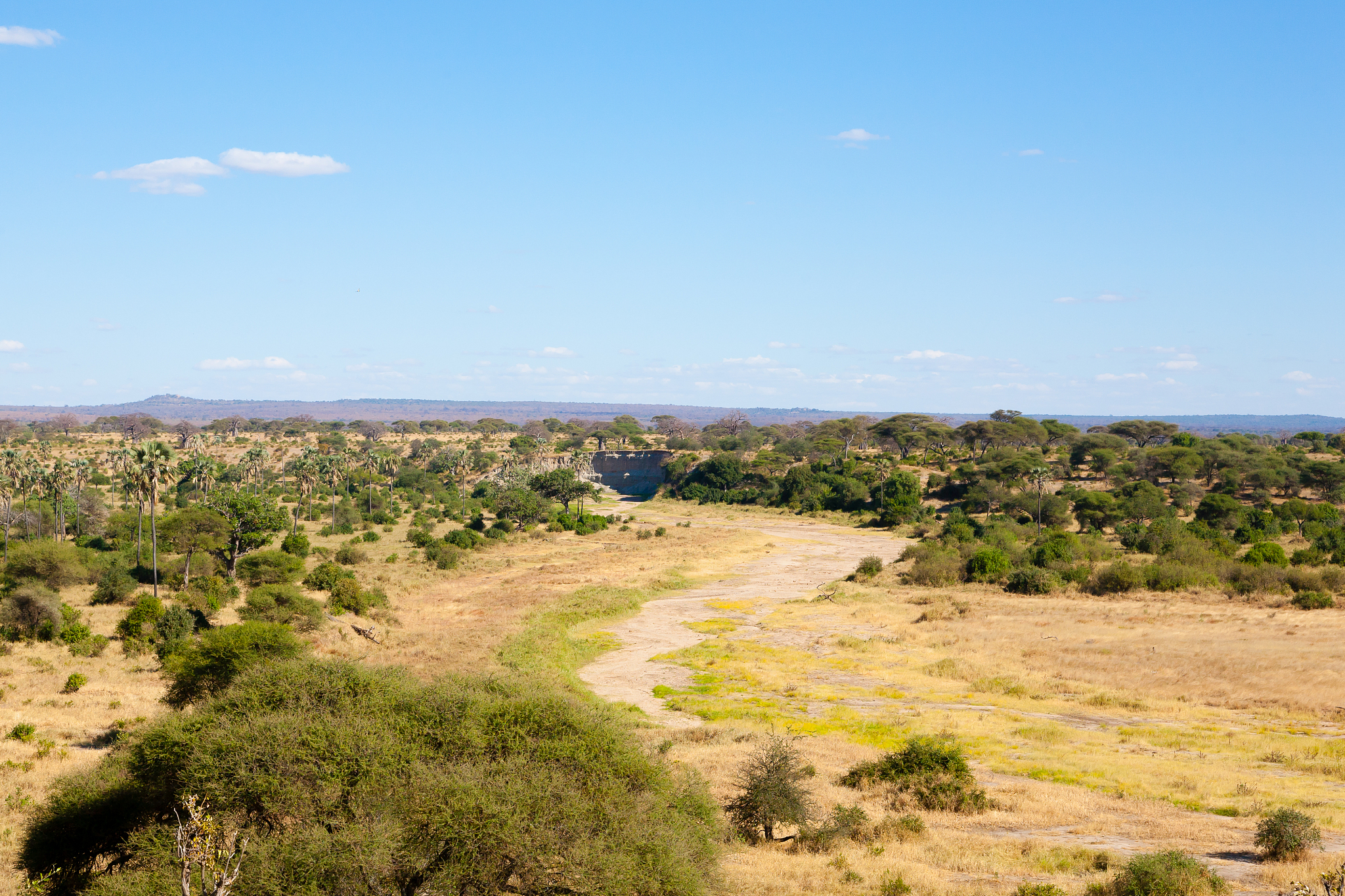 tarangire national park landscape, tanzania, africa