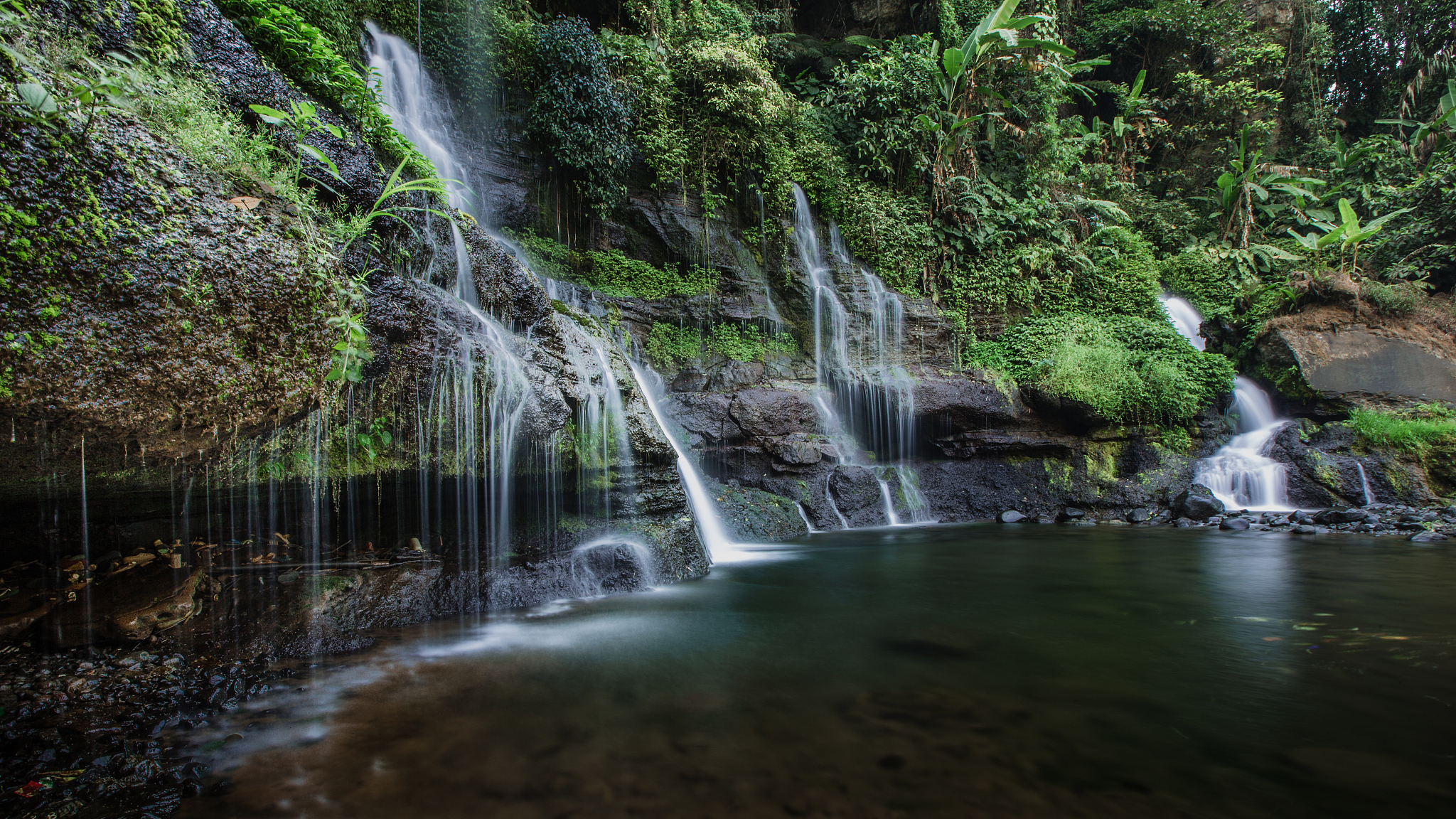 阿里山风景如画：林茂竹翠，仙境醉游人