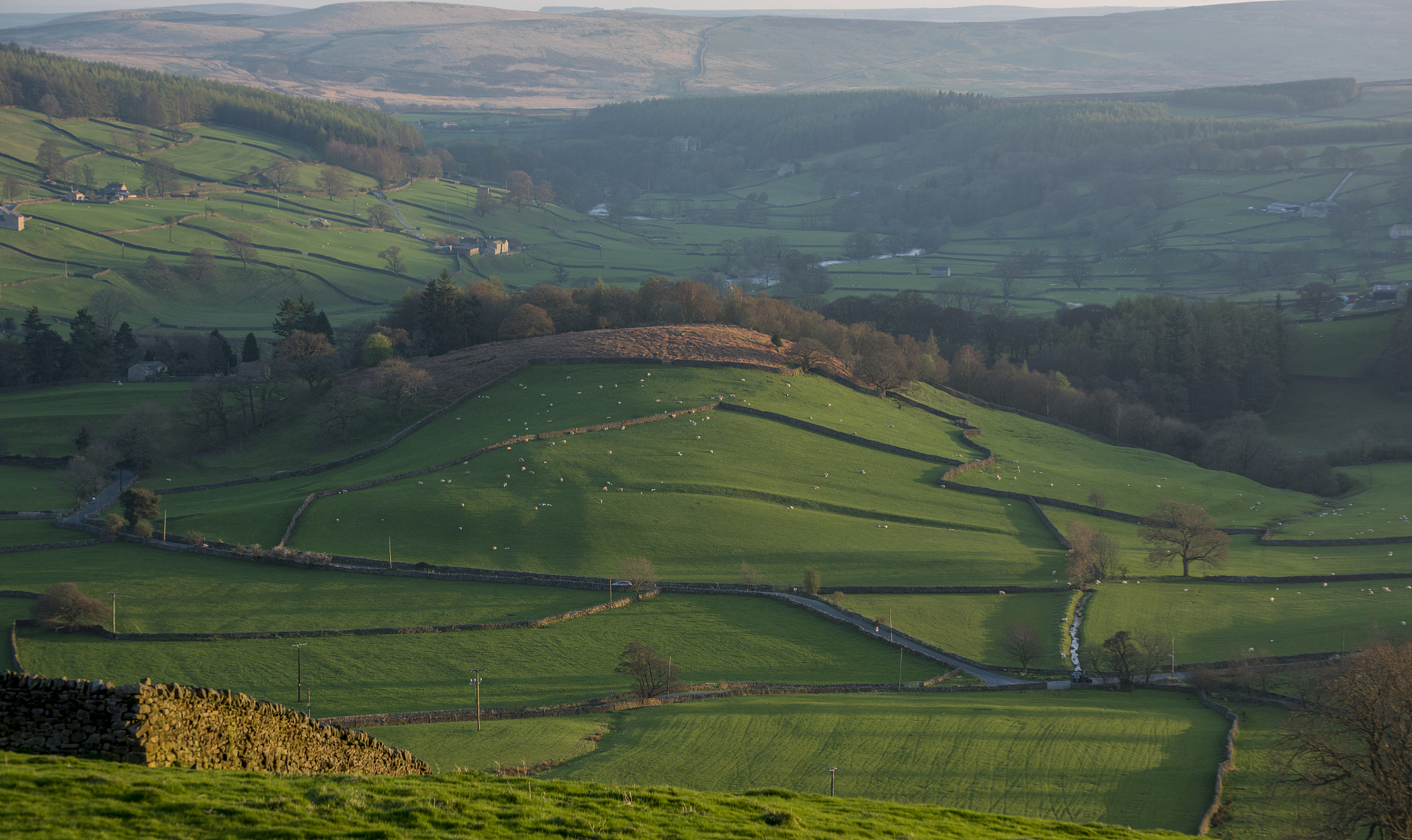 yorkshire