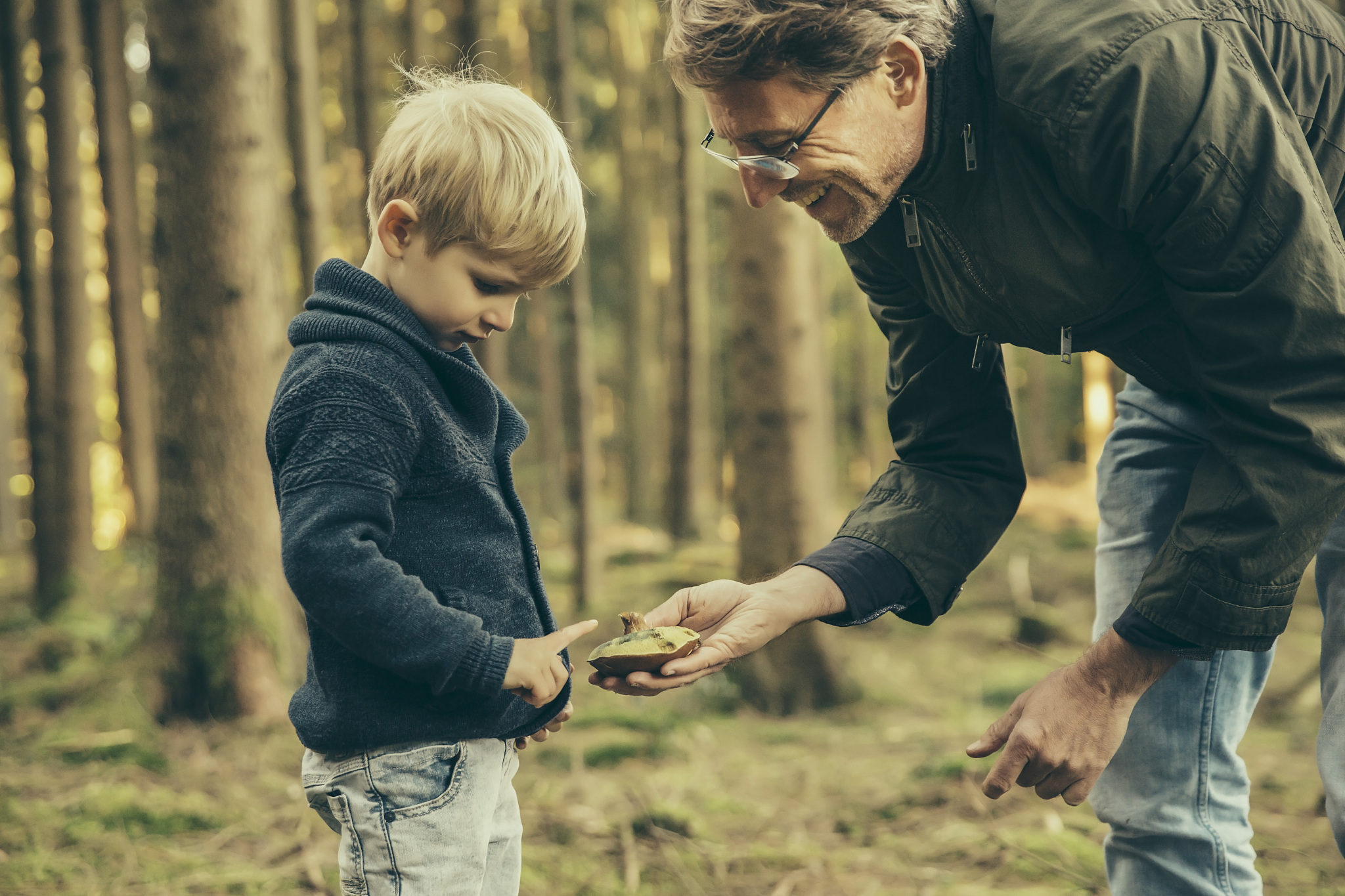 mature man collecting bay bolete mushrooms with little boy