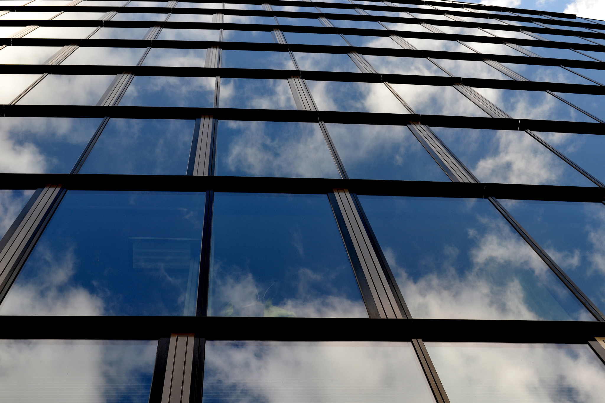 office building from glass