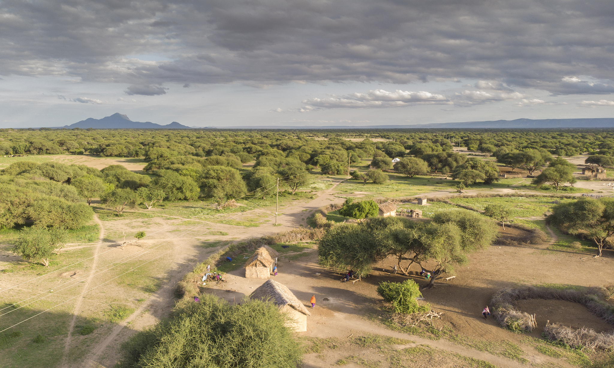 aerial view of maasai boma
