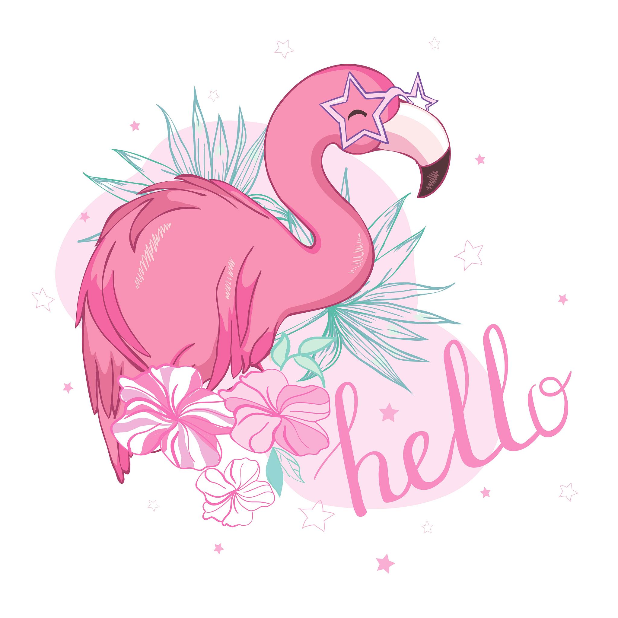 火烈鸟 - Flamingo 中文翻译