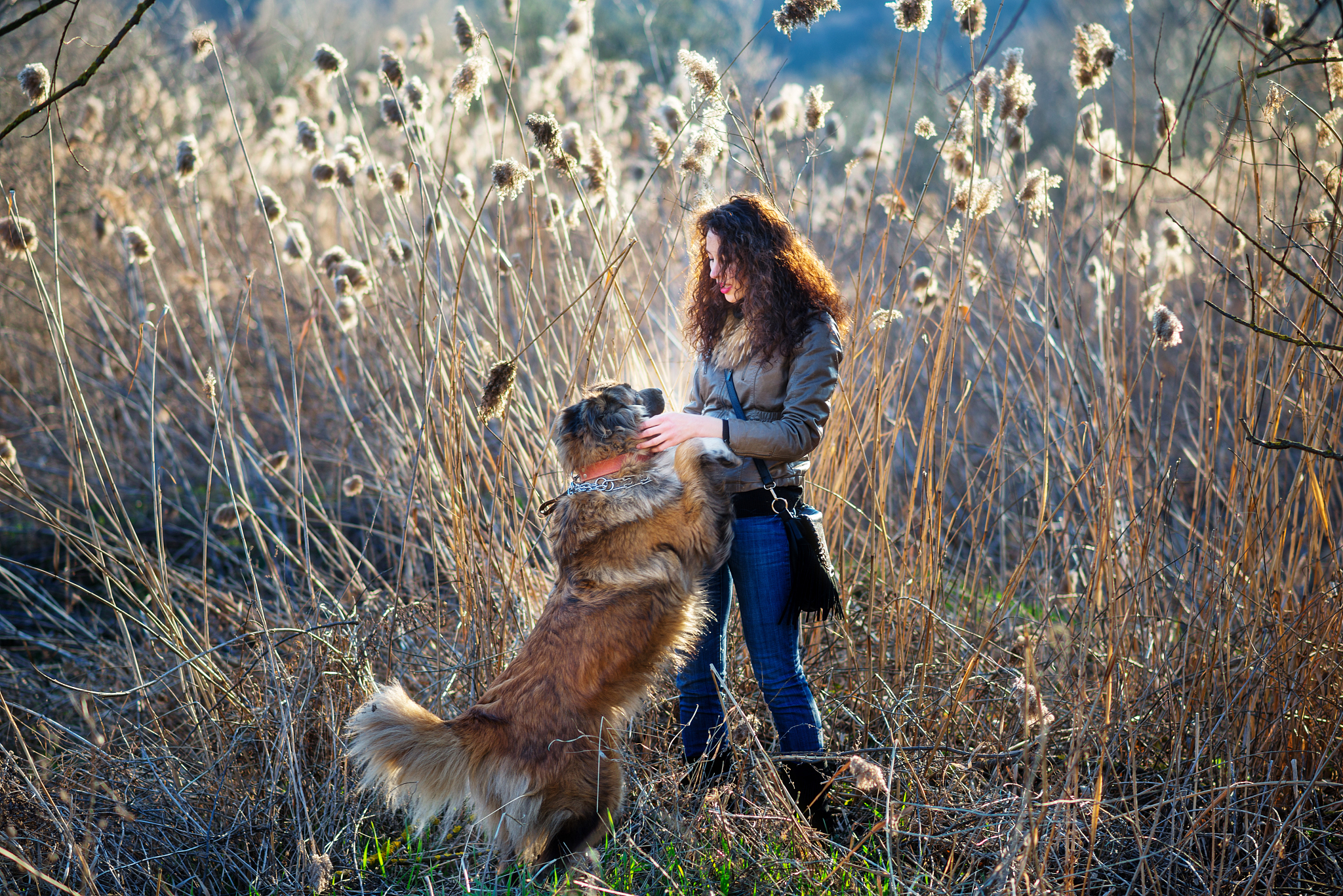 1200字关于摄影专题：如何拍摄不同主题的照片？