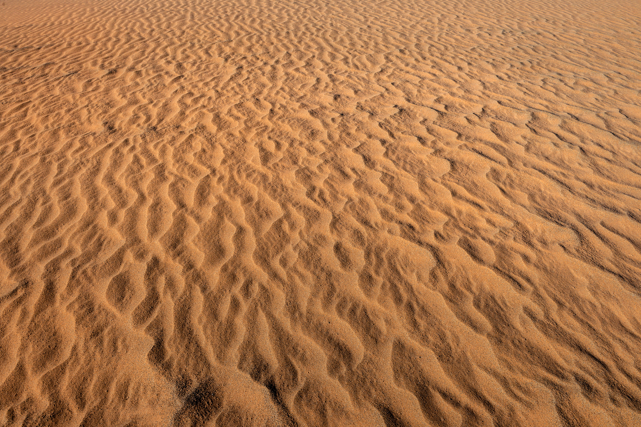sand and erg chebbi desert, merzouga, morocco, north africa