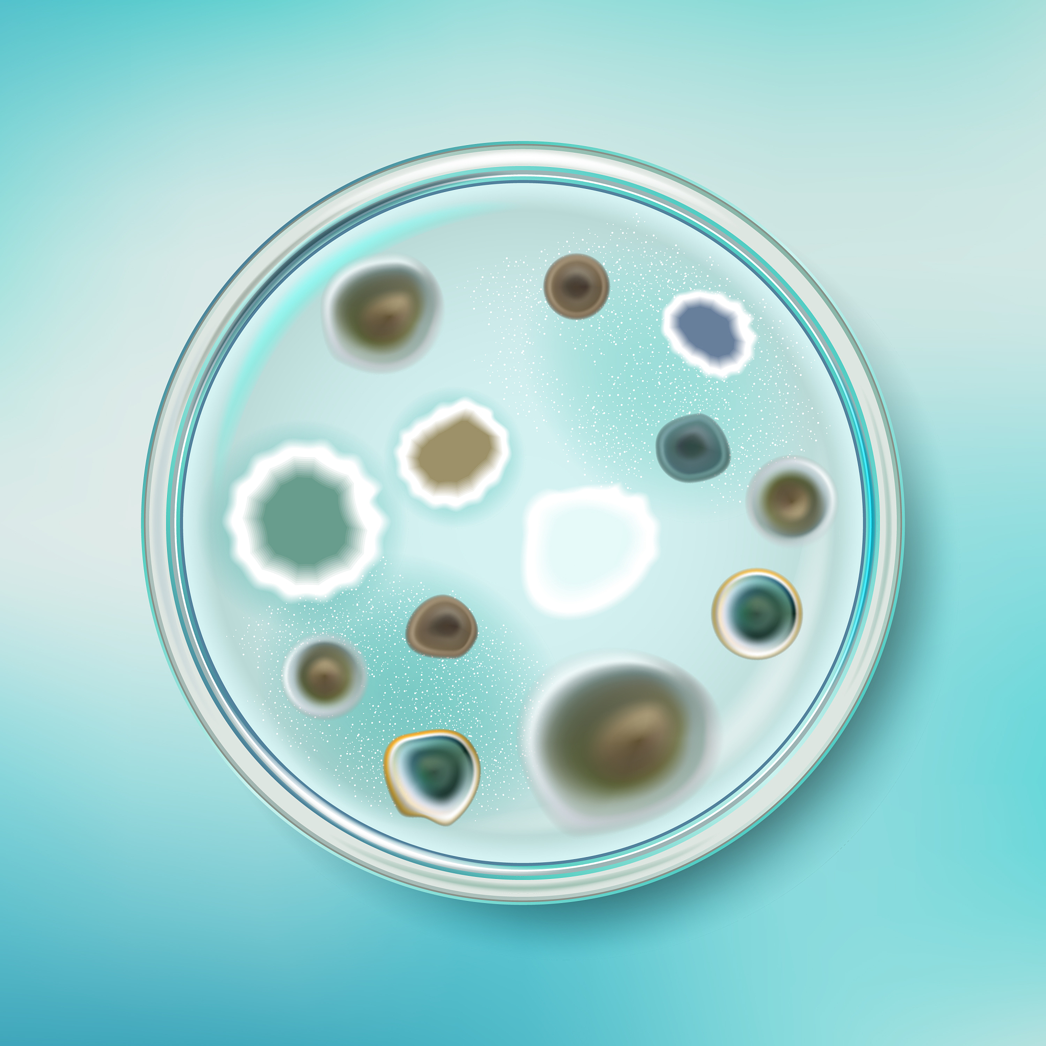 Fungal Biology 期刊: 真菌学研究的领先平台