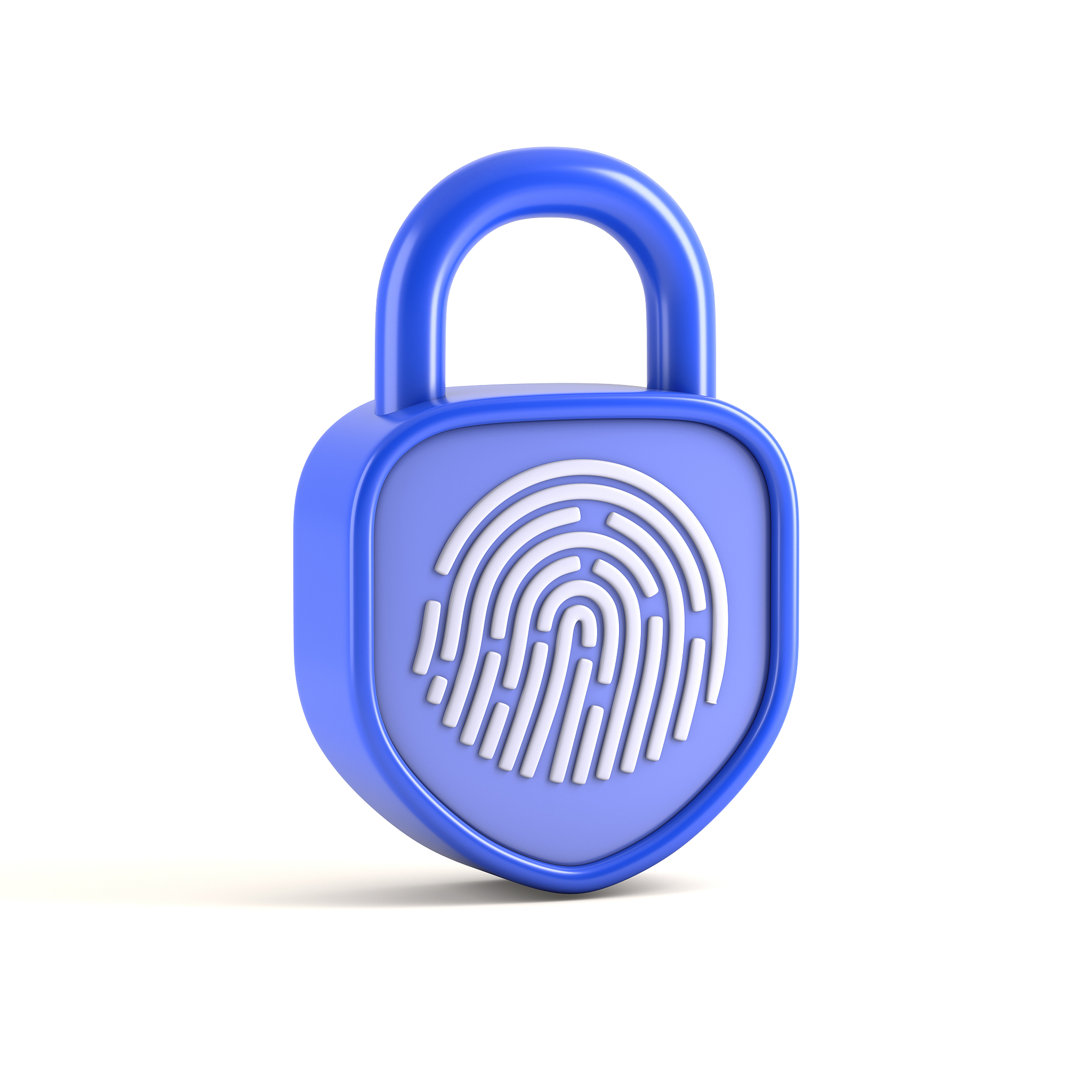fingerprint padlock
