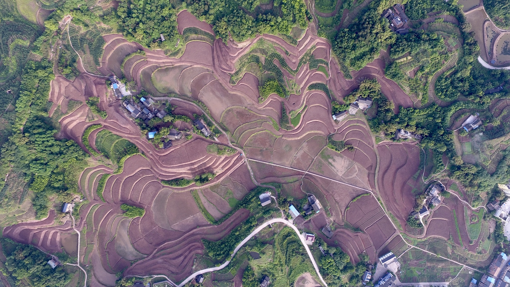 绥阳县土壤类型