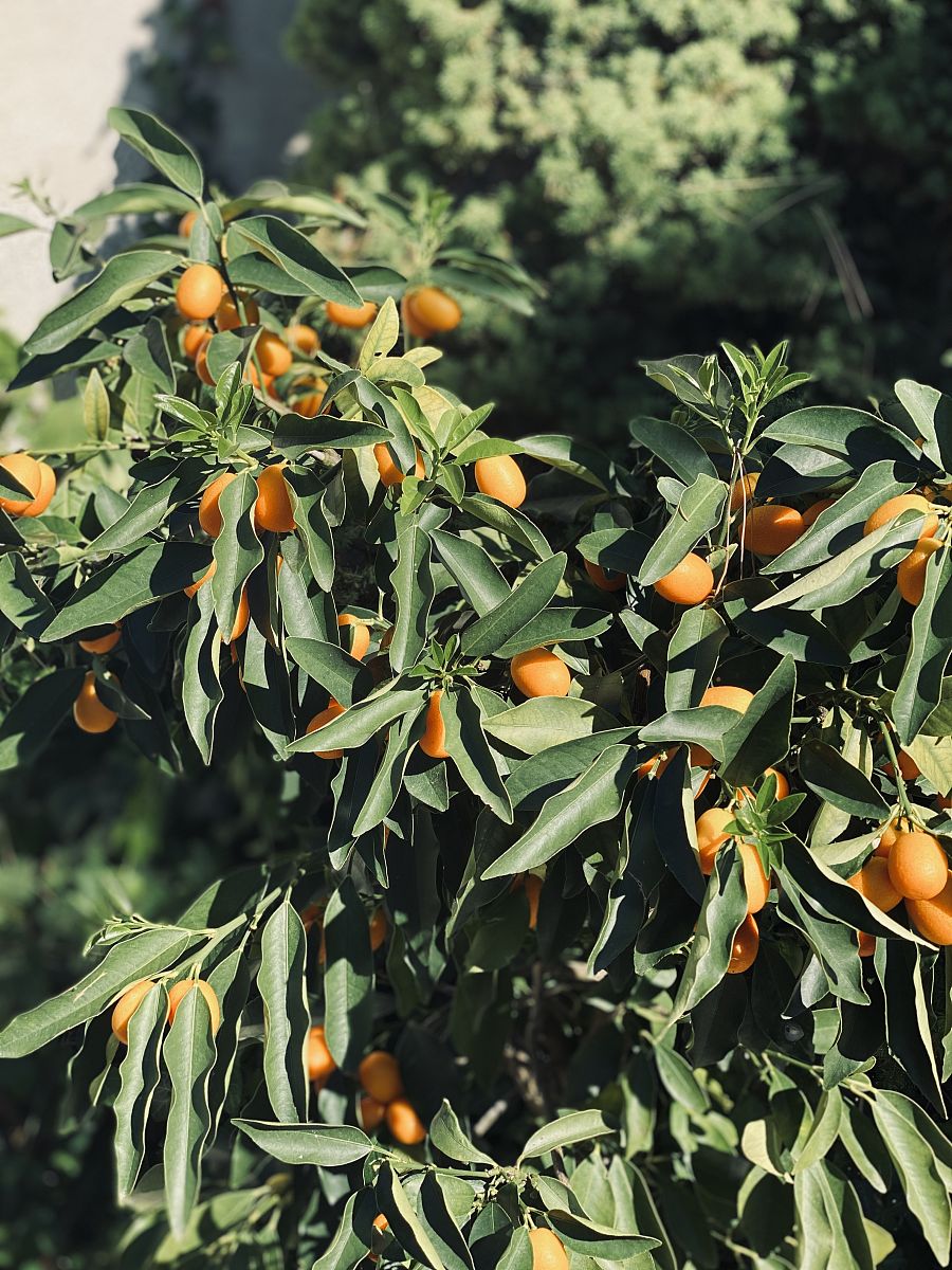 不同地区的审美有哪些不同