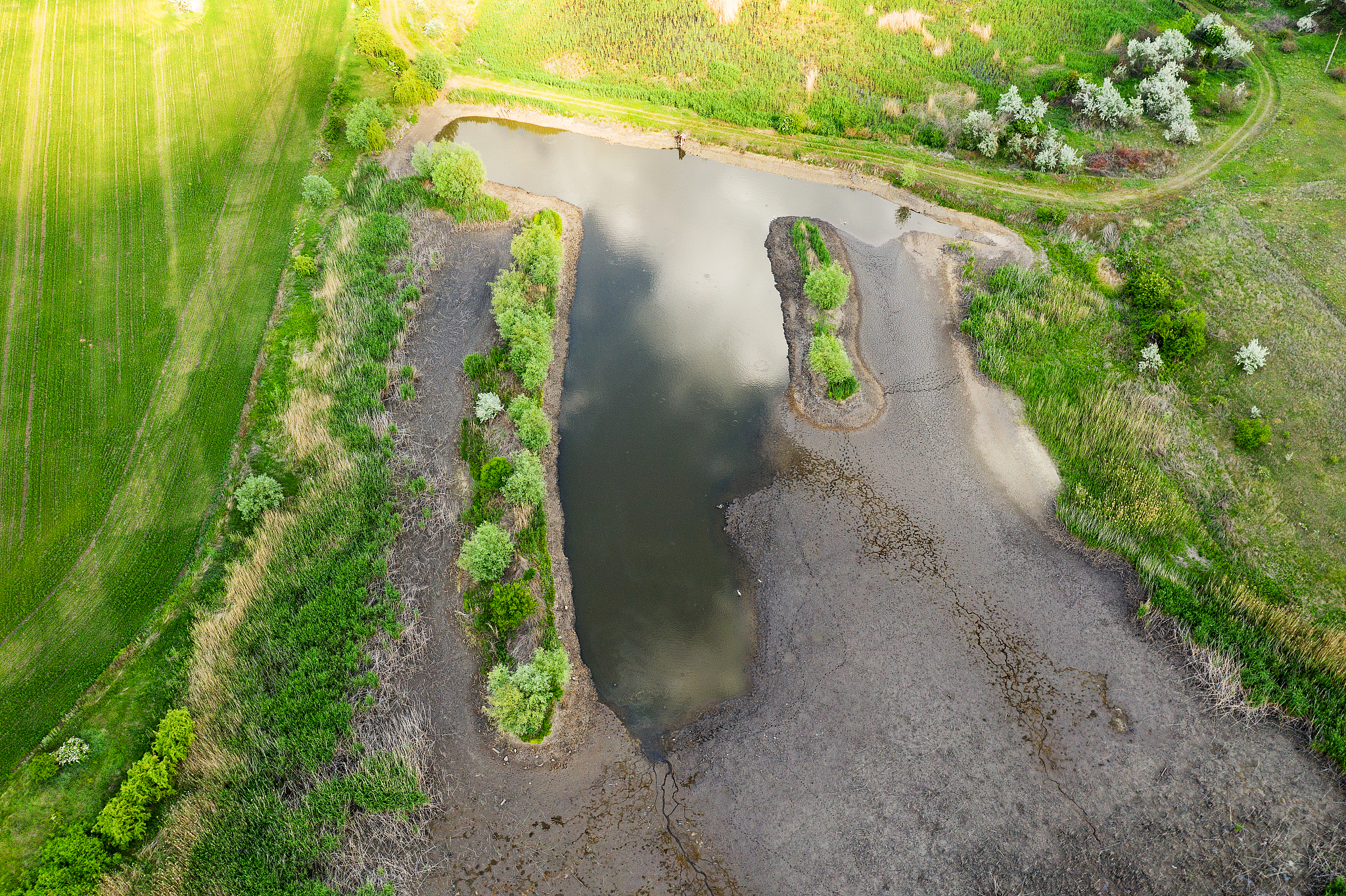 请按照nature发文推送改下下面句子的语法结构和表达：Straw improved soil fertility and water holding capacity reduced soil water evaporation and increased microbial activity