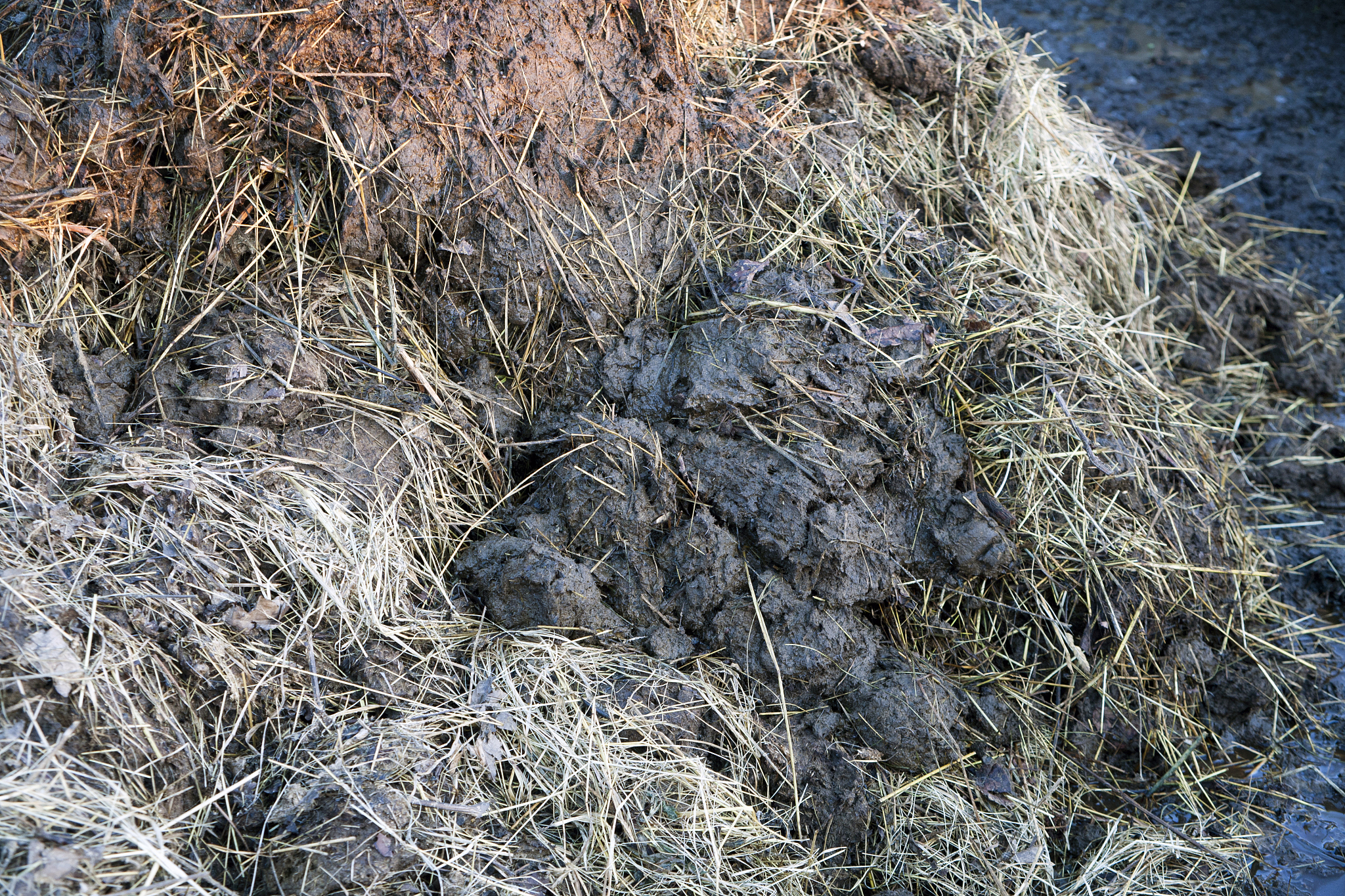 牛羊粪做有机肥多少公斤可以出一吨成品肥料