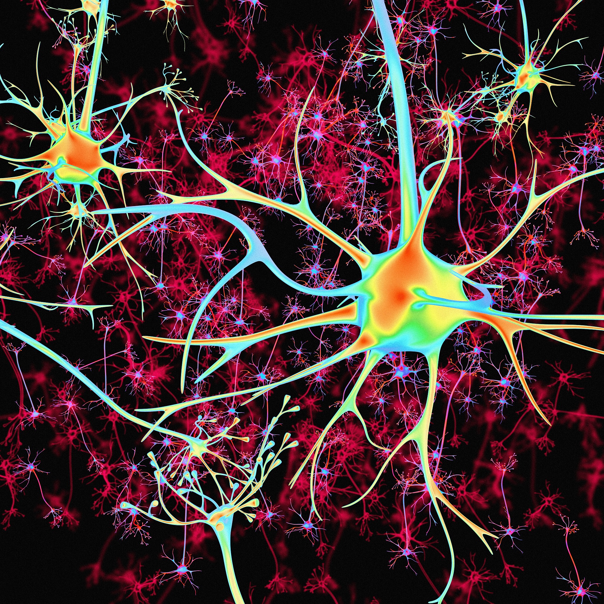 电离辐射对神经的损伤有哪些？