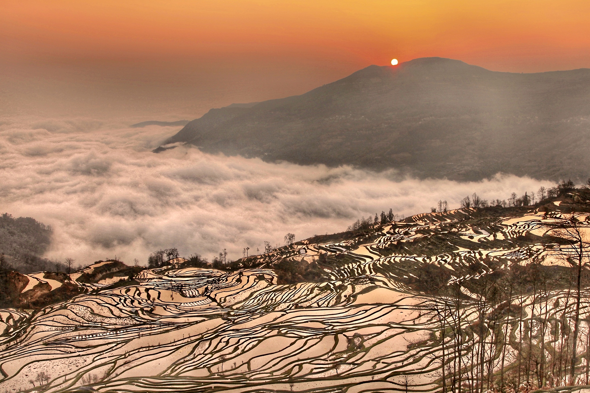 模仿杜甫写一首律诗，要求使用一些不常见词语，出现凤堰，梯田，云海