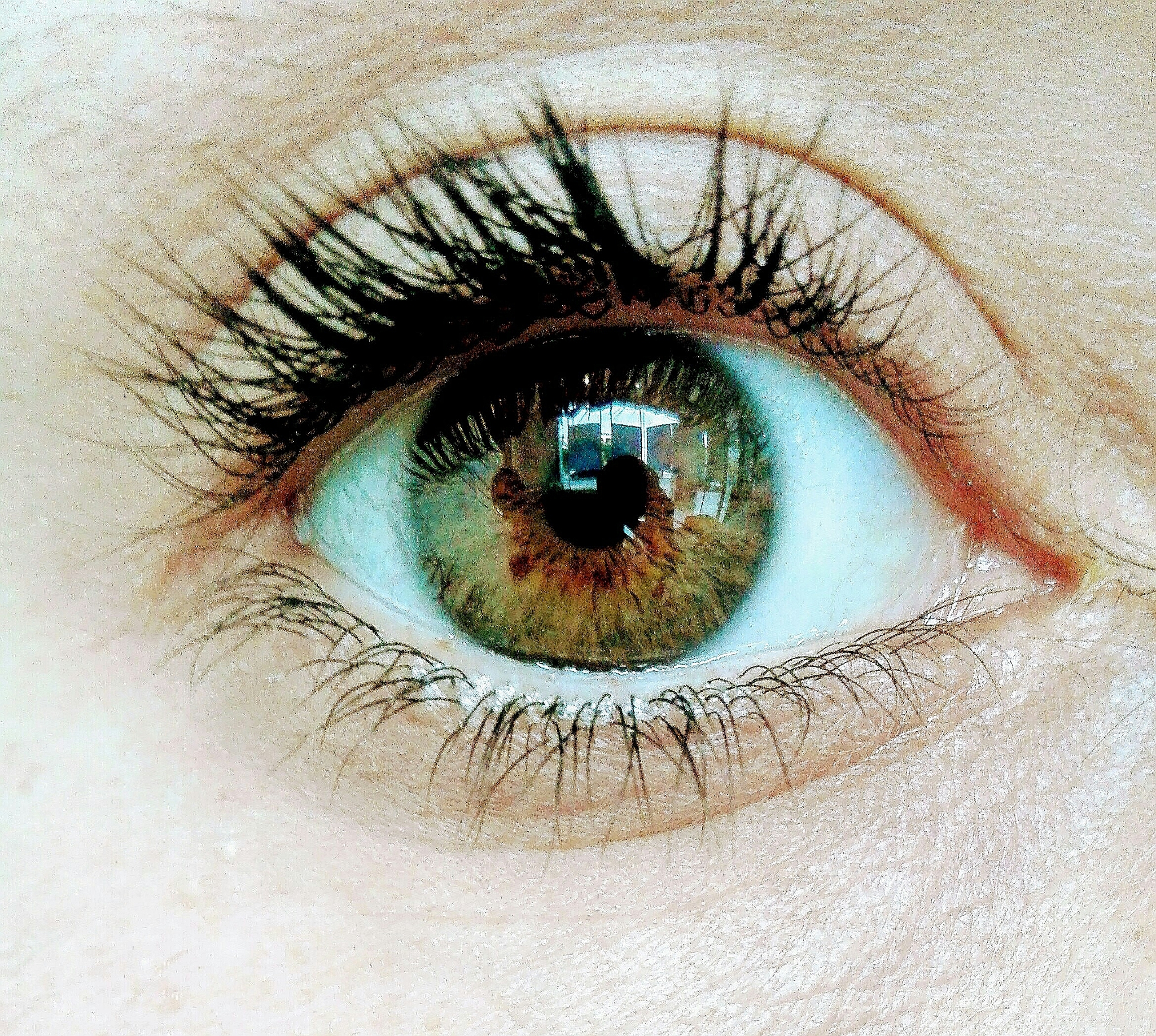 close-up portrait of human eye