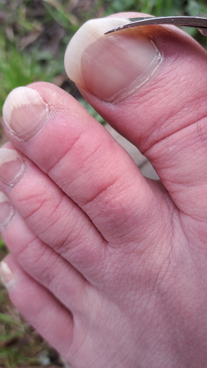 幼儿园大班绘本阅读推荐：'好长好长的名字' 适合幼师参考