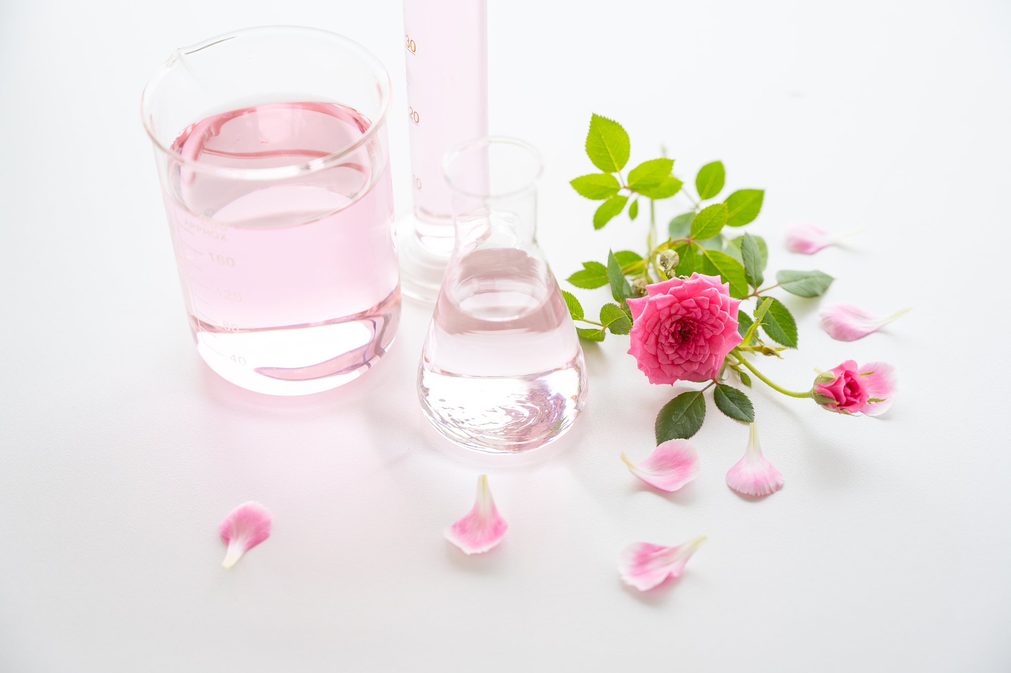 滁州市应用技术学校2021年招生专业有哪些