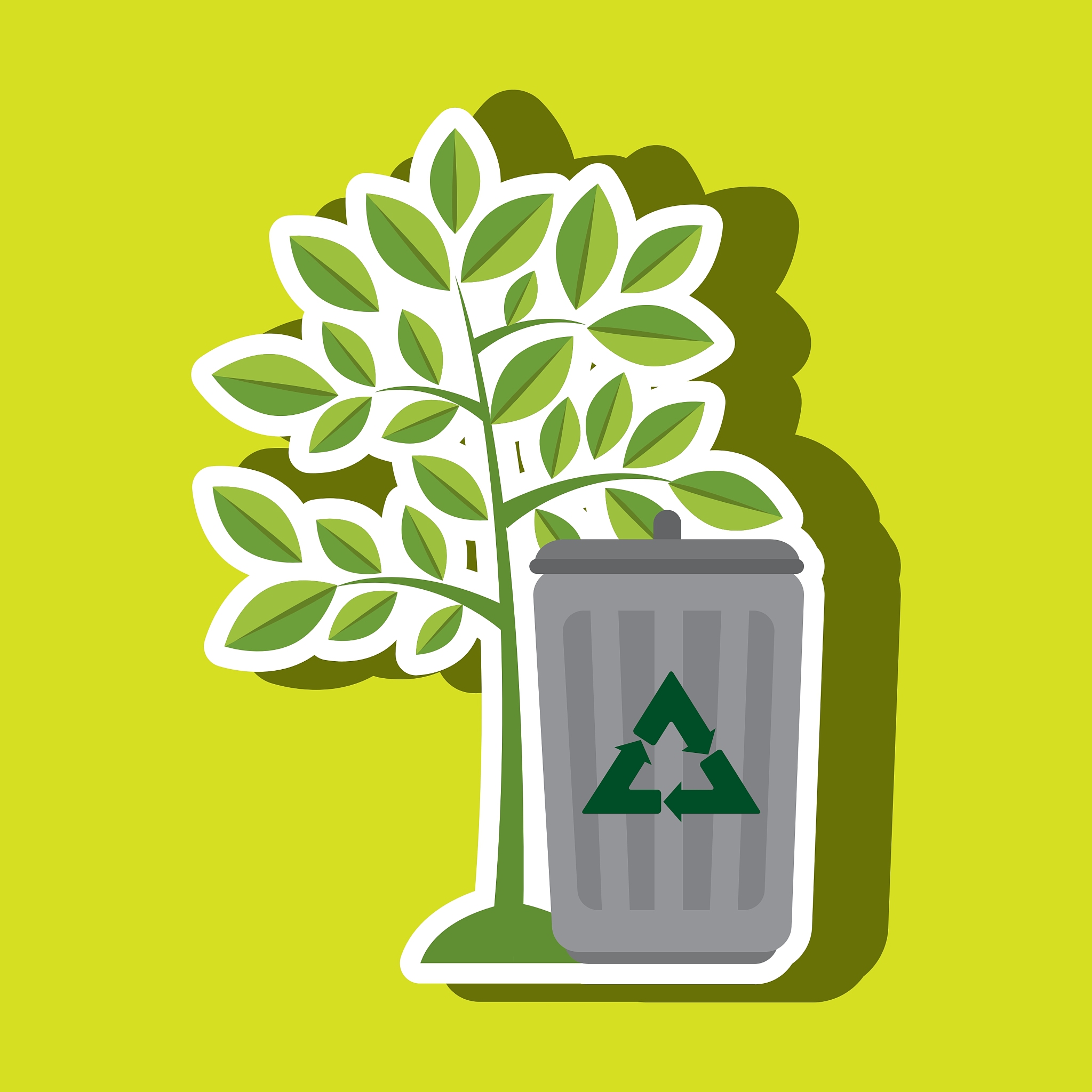 环境实习的总结