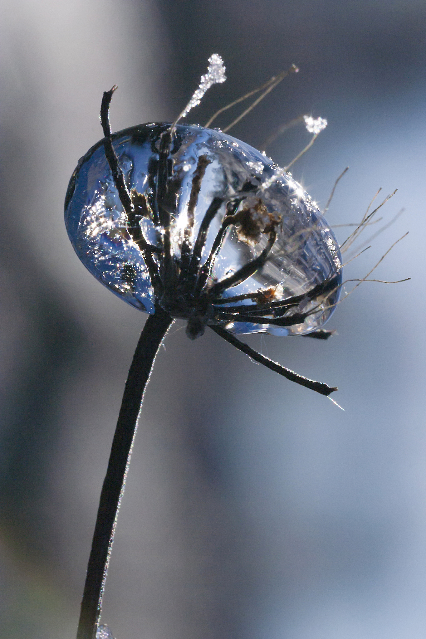 珠宝账户被冻结：问题与应对措施