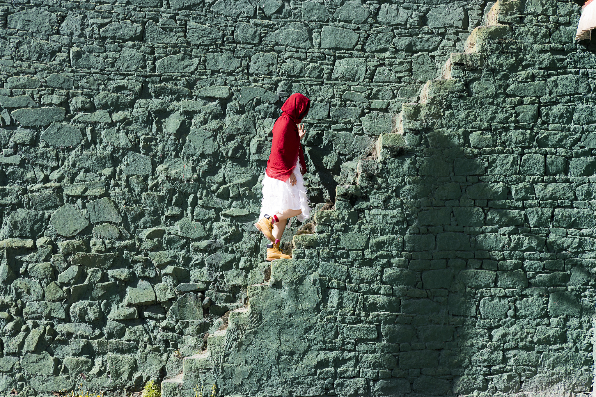 必看经典电影推荐：20部高分佳作，涵盖剧情、动作、科幻等类型