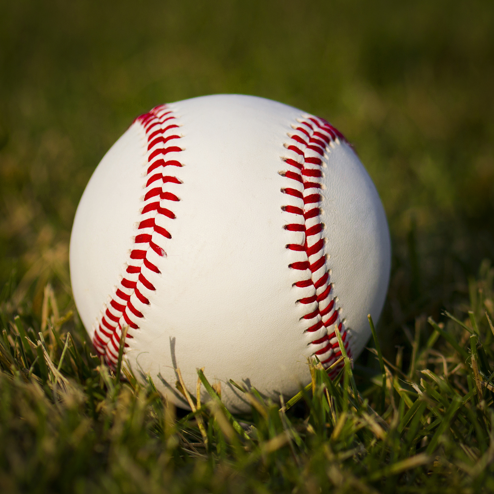 baseball on field. new white ball and green grass