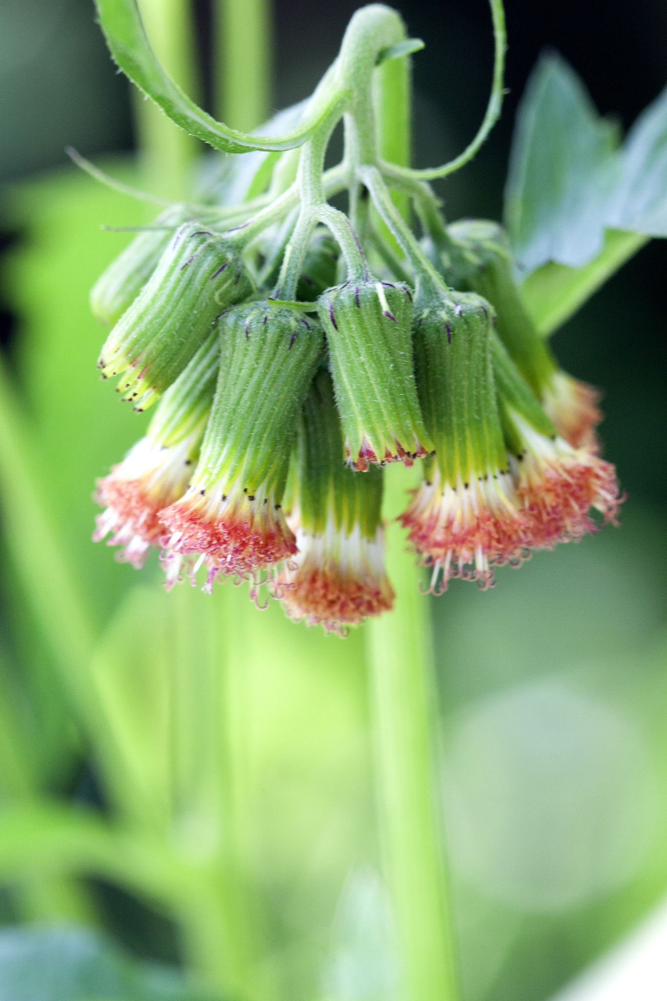 模糊pid算法-c语言