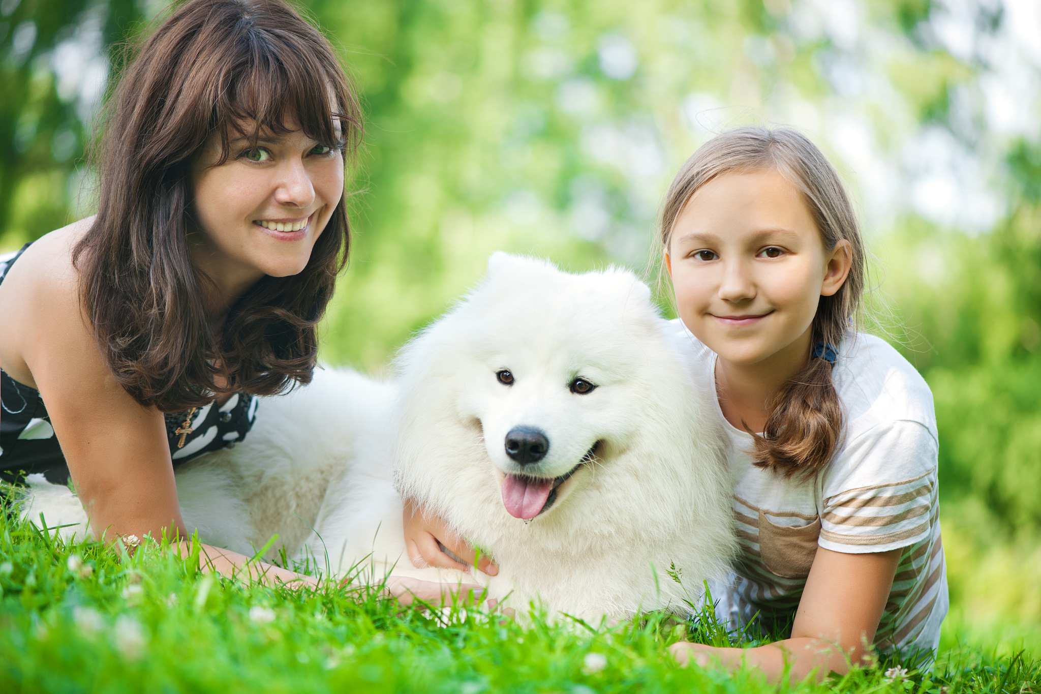 以萌宠：提升家庭幸福感和凝聚力为题写一篇1100文章